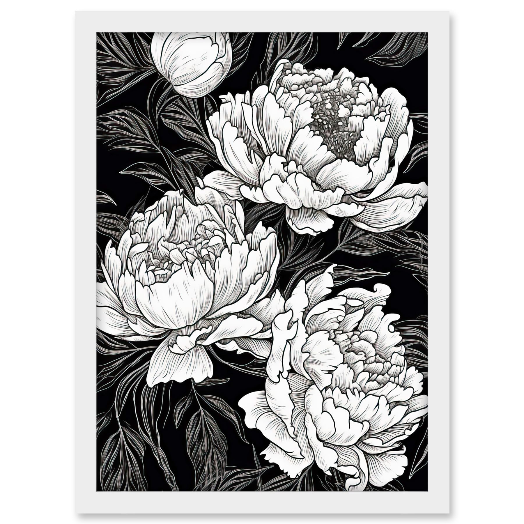Artery8 Peony Flower Blooms White on Black Illustration Artwork Framed A3 Wall Art Print