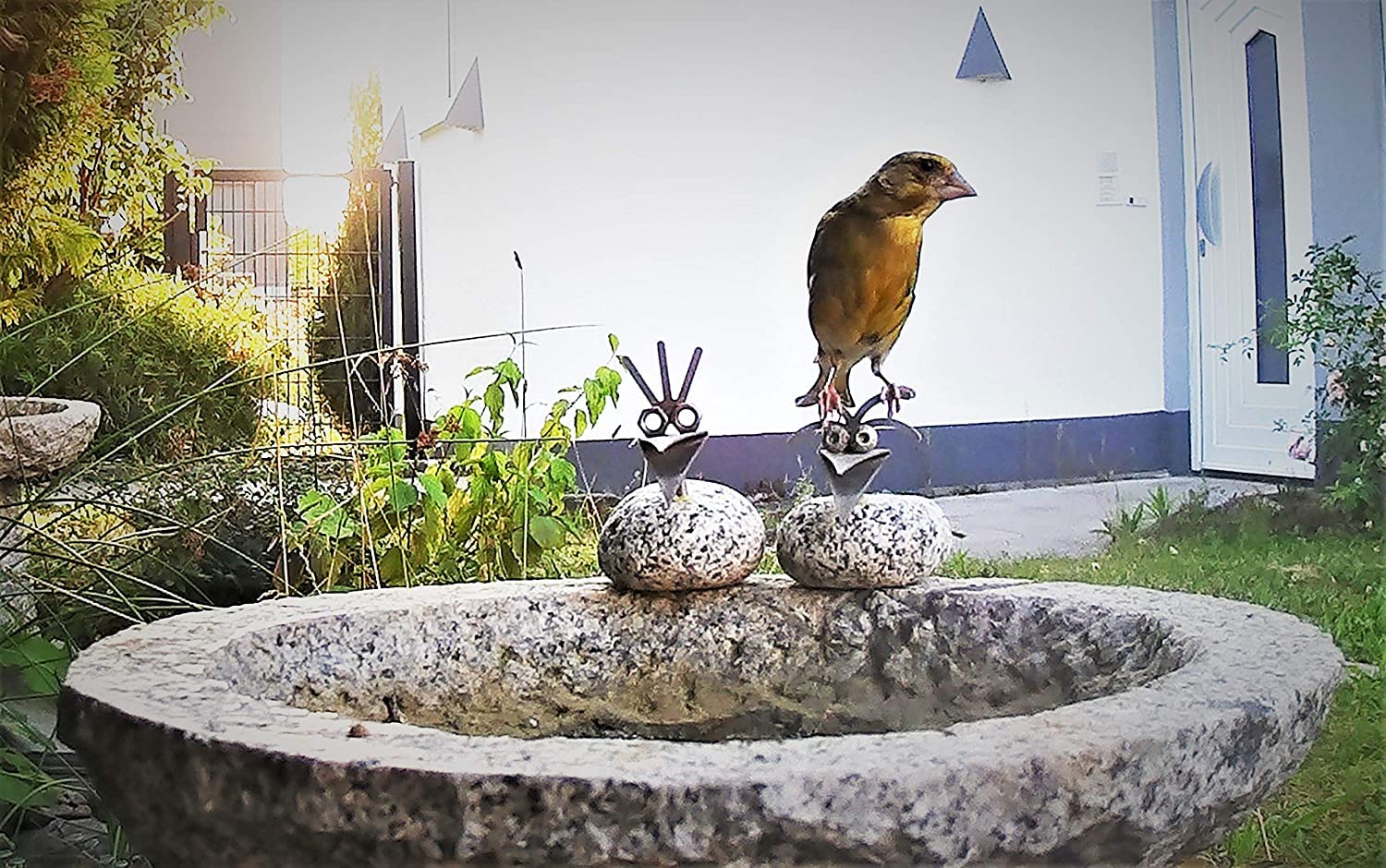 Vogelbad aus Granit 10 cm hoch - Vogeltränke mit 2 Liter Fassungsvermögen auch für größere Vögel