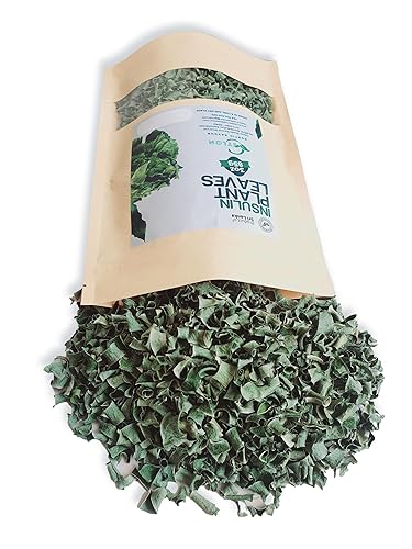 Miniatura 3 de Hojas secas de insulina de 3 onzas, planta de insulina fresca y pura cultivada naturalmente, hojas cortadas Costus Igneus, 3 onzas