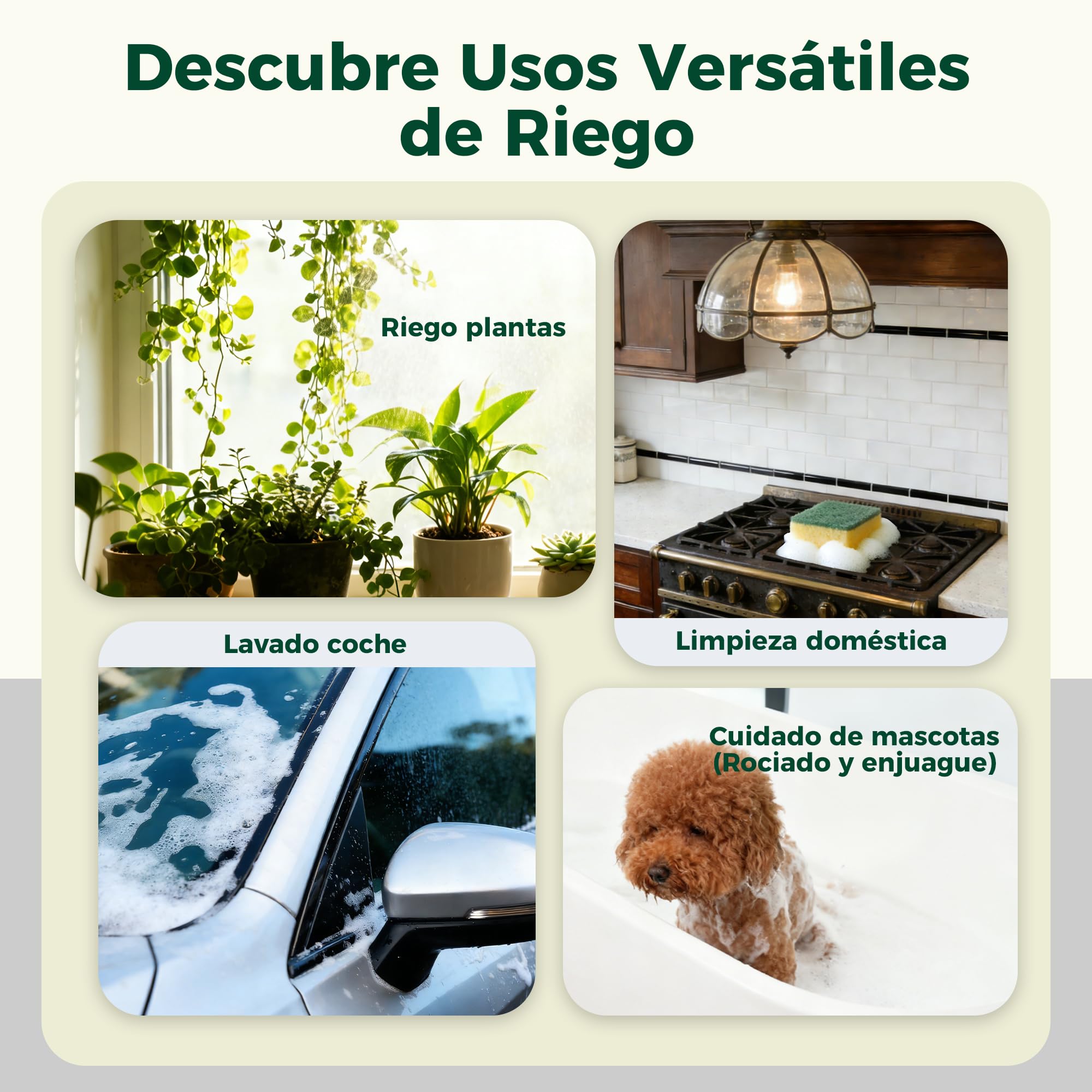 Diivoo Pulverizador Eléctrico de Jardín 2L, 3 Velocidades y 2 Modos (Neblina y Chorro), Depósito Visible, Batería Recargable 2000mAh, Pulverizador Portátil de Agua para Plantas de Interior y Balcón