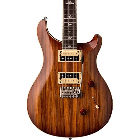 Prs custom 24 amazon Clearance