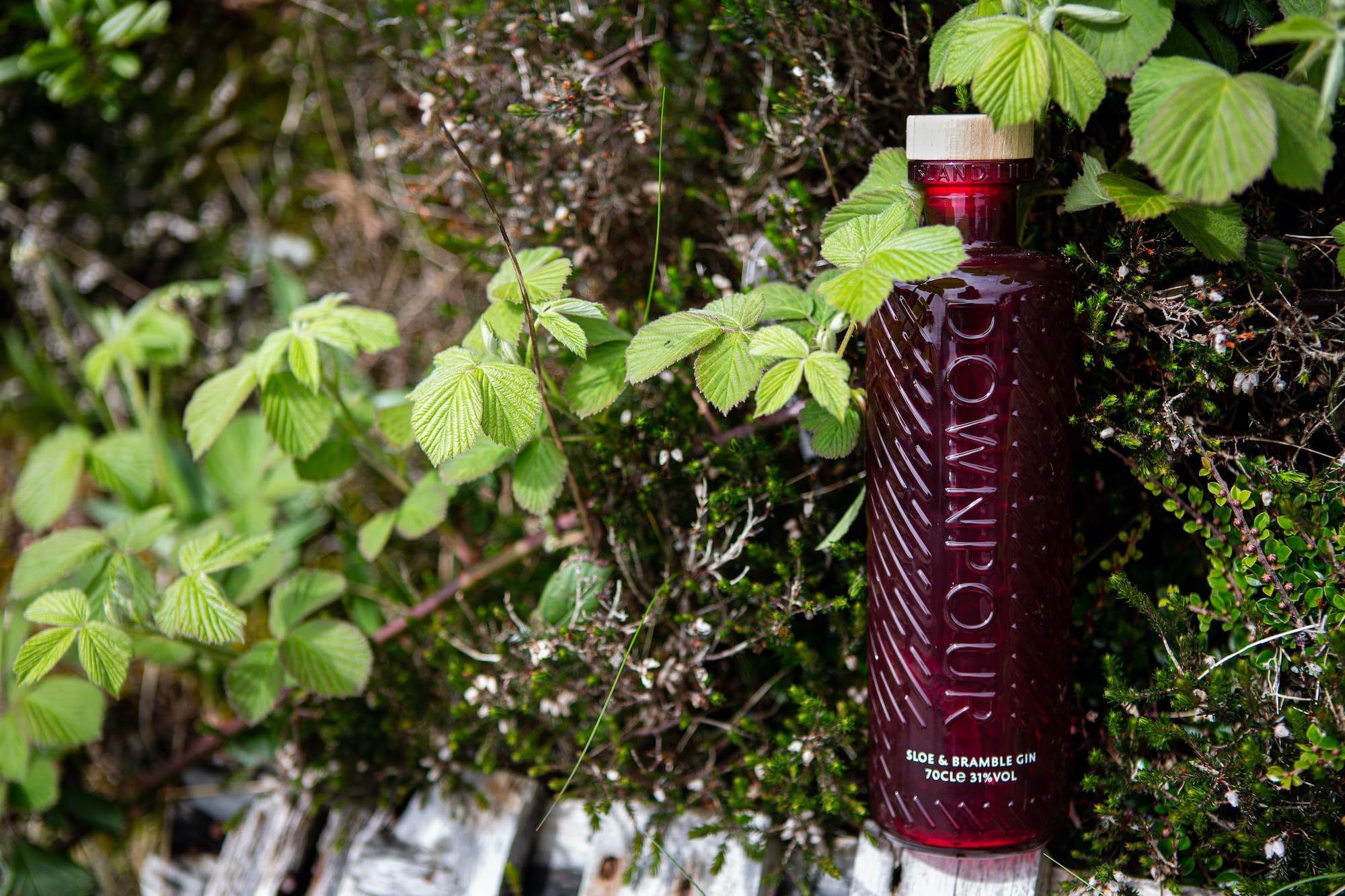 Downpour Sloe & Bramble Gin