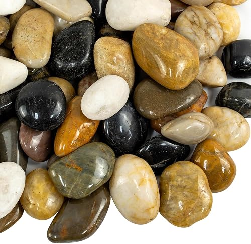 TODOSTONES Piedras Super Lisas de Color Negras o variadas, para decoración de jardín