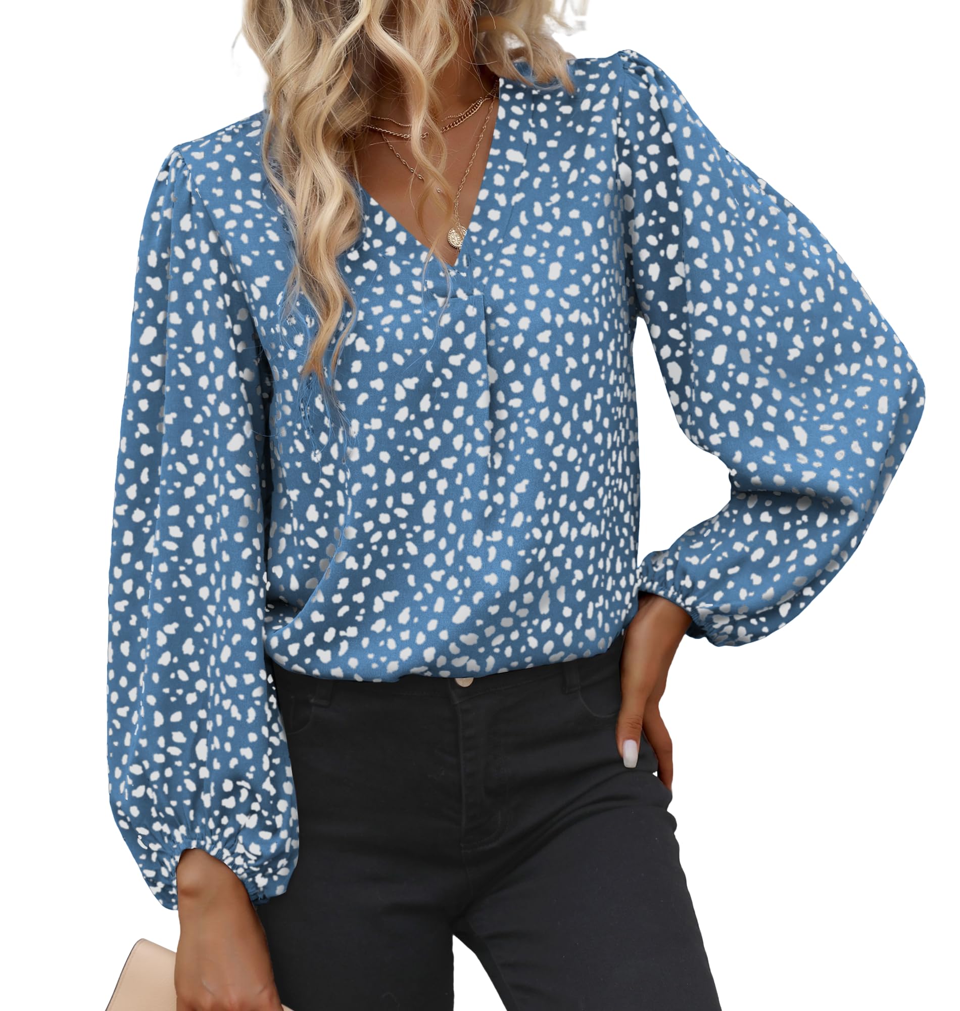 EGRETLAC Long Sleeve Blouses for Women, Leopard Print Chiffon Tops V Neck Loose Business Shirts Casual Work Tunic