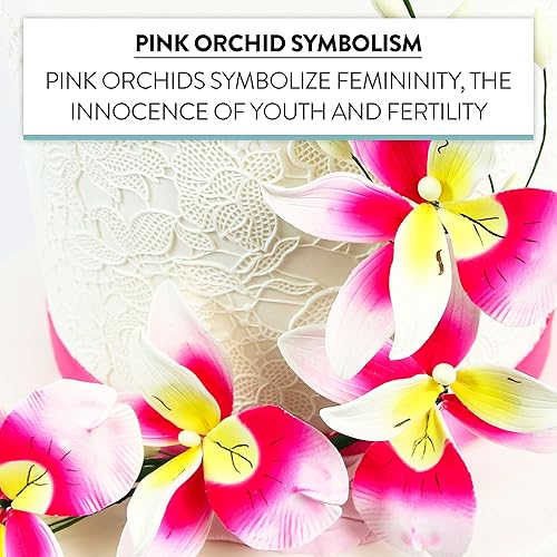 Vista 37 de Global Sugar Art Cattleya Orchid Sugar Cake Flowers - Aerosol arqueado, blanco, 1 unidad por el chef Alan Tetreault Cattleya - Spray de orquídea