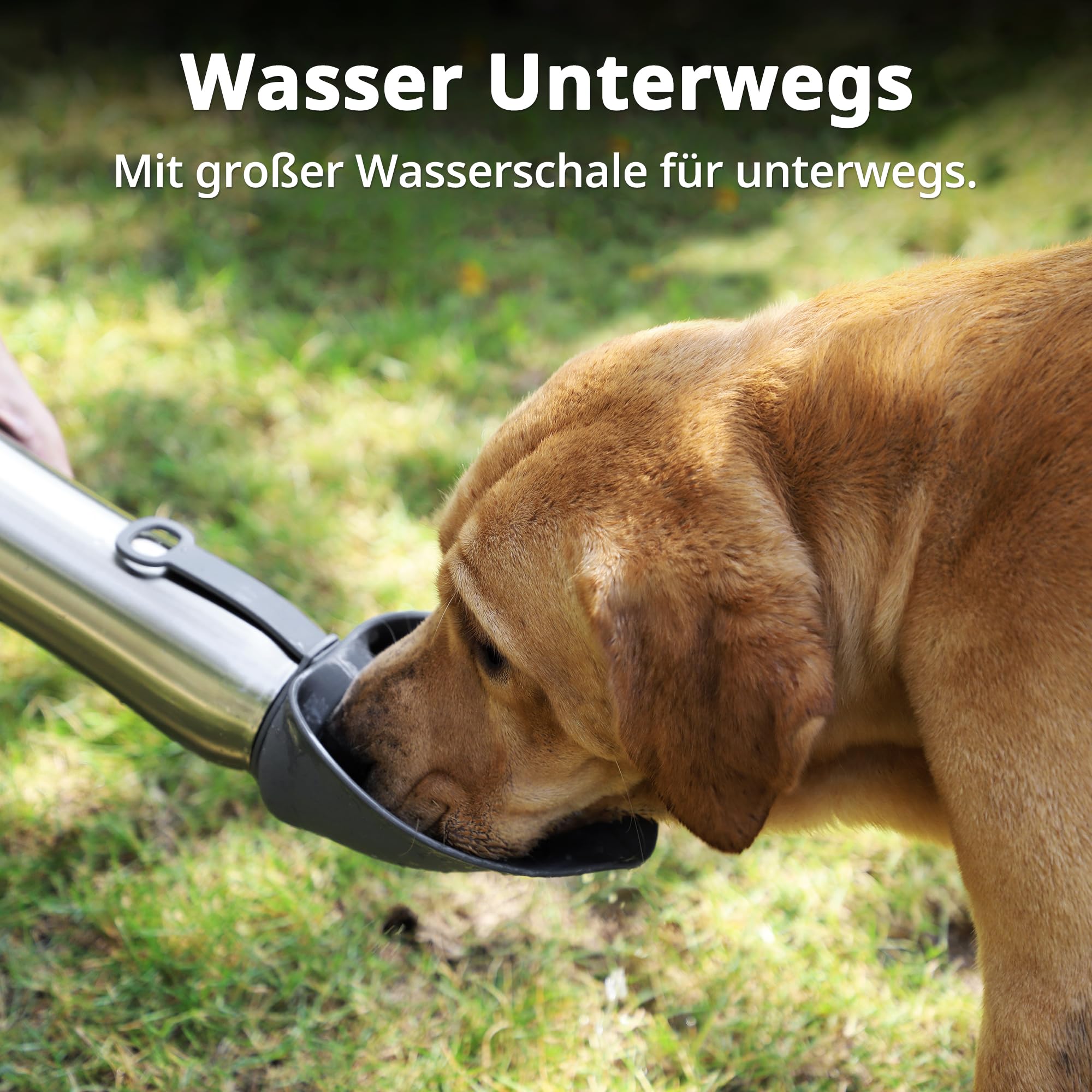 Hunde Trinkflasche für Unterwegs, 750 ml Isolierte Edelstahl Hundetrinkflasche, Tragbare Wasserflasche Hund, Doppelwandig Vakuum Isolierte