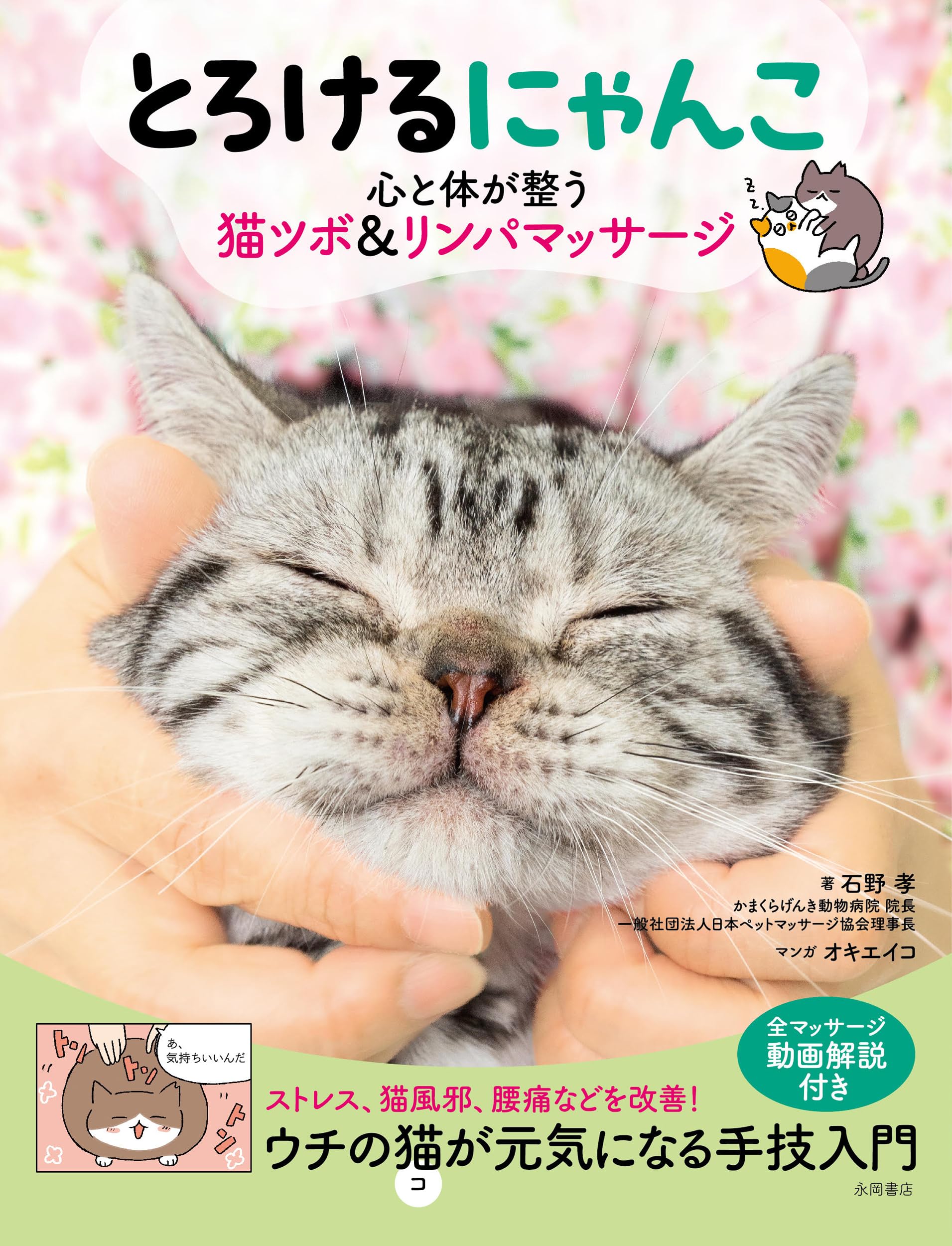 とろけるにゃんこ 心と体が整う猫ツボ＆リンパマッサージ | 石野孝