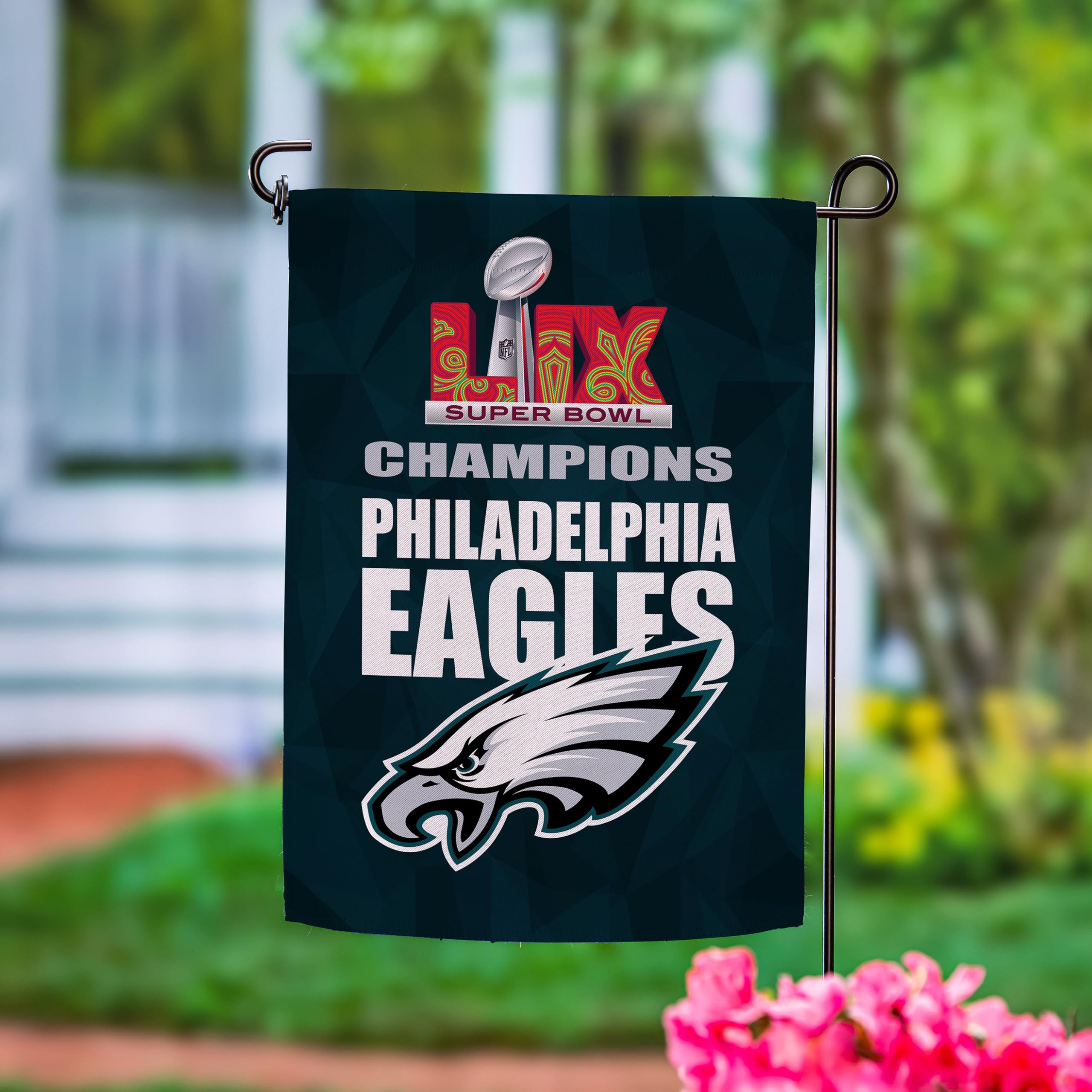 Amazon.com: Team Sports America NFL Philadelphia Eagles Superbowl
