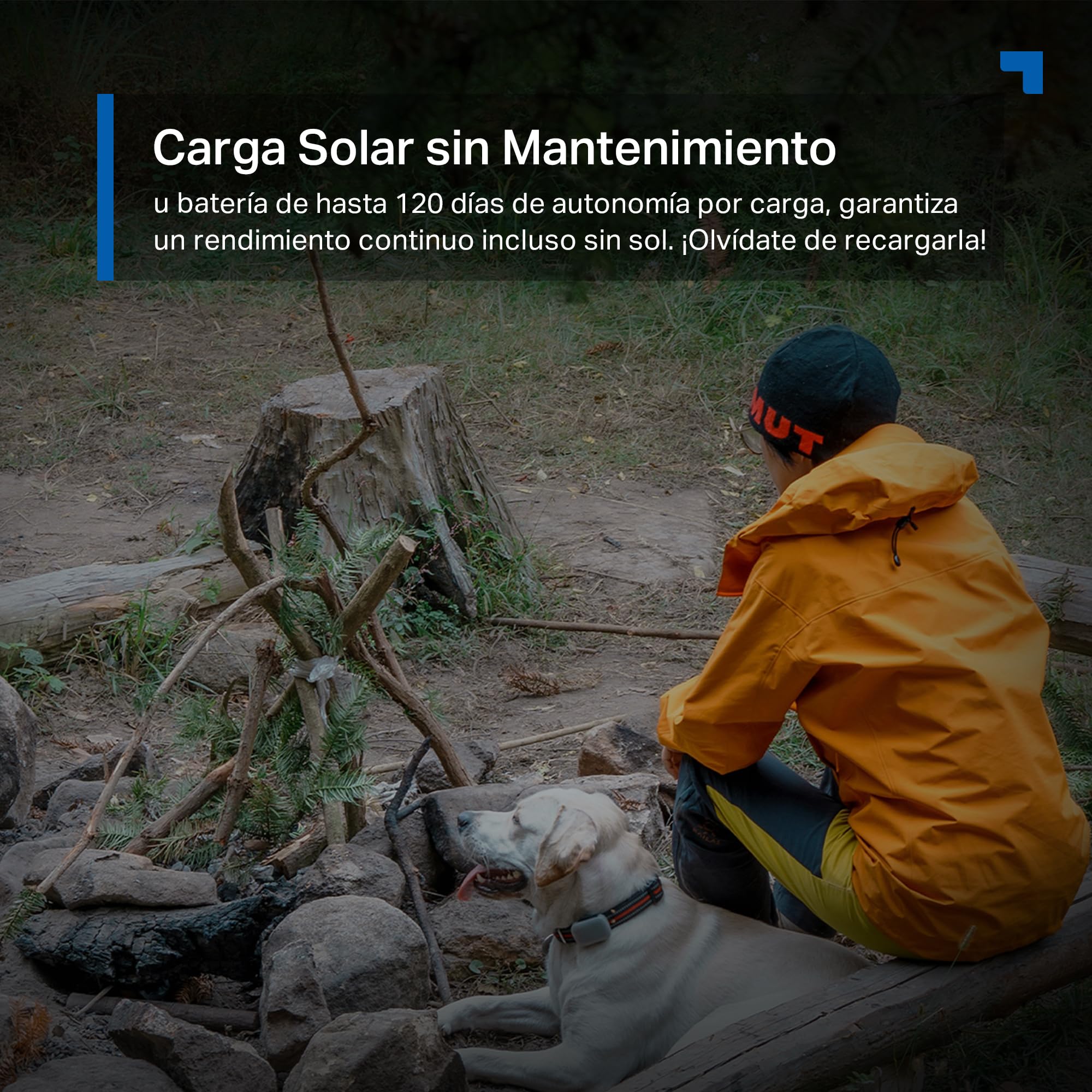 Tapo C615G Kit - Cámara vigilancia WiFi Exterior 360°, 4G y WiFi, 2K, Solar | Detección de Movimiento, Personas, Mascotas y Vehículos. Con Panel Solar. Alarma Luz y Sonido. App Tapo.