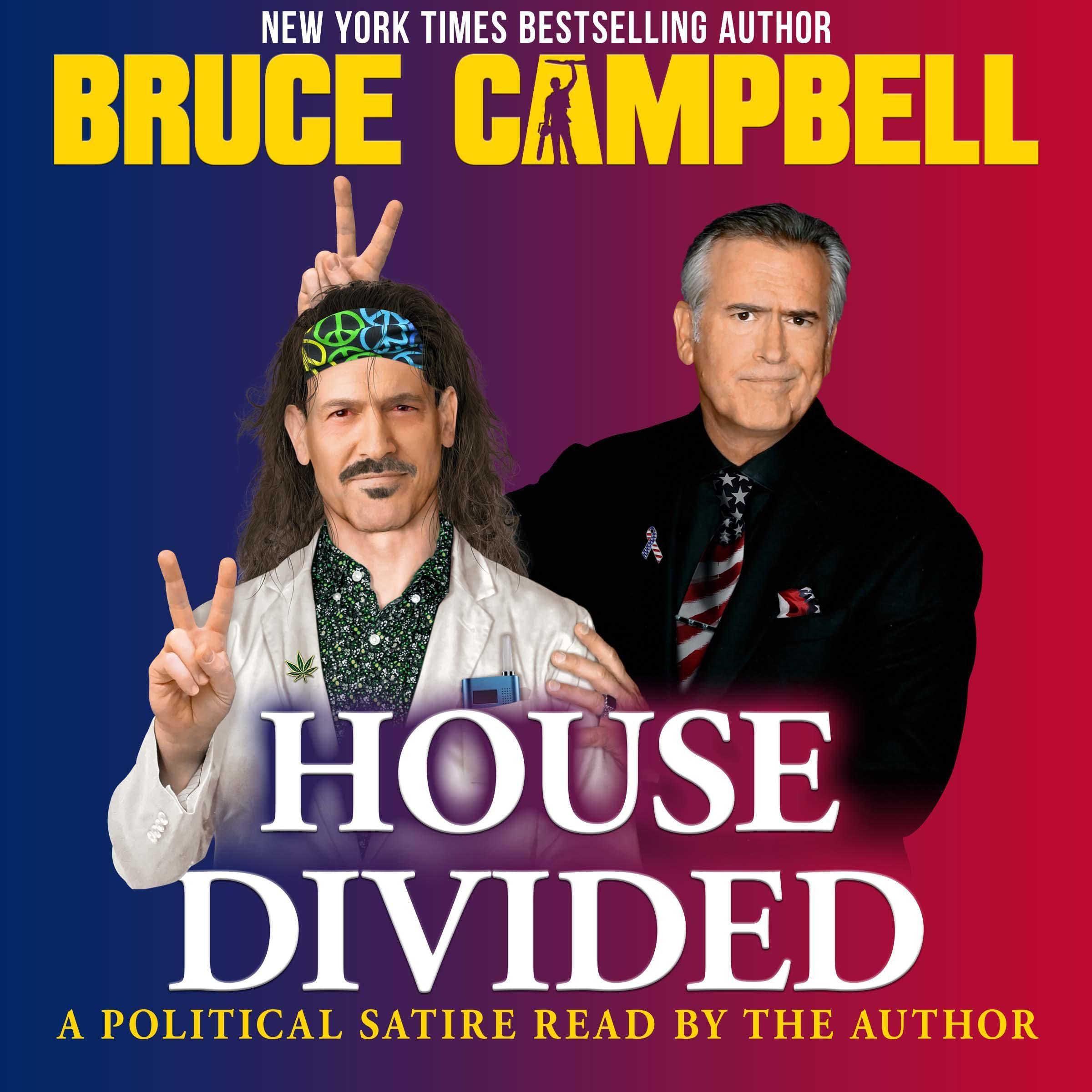 Cover art for House Divided