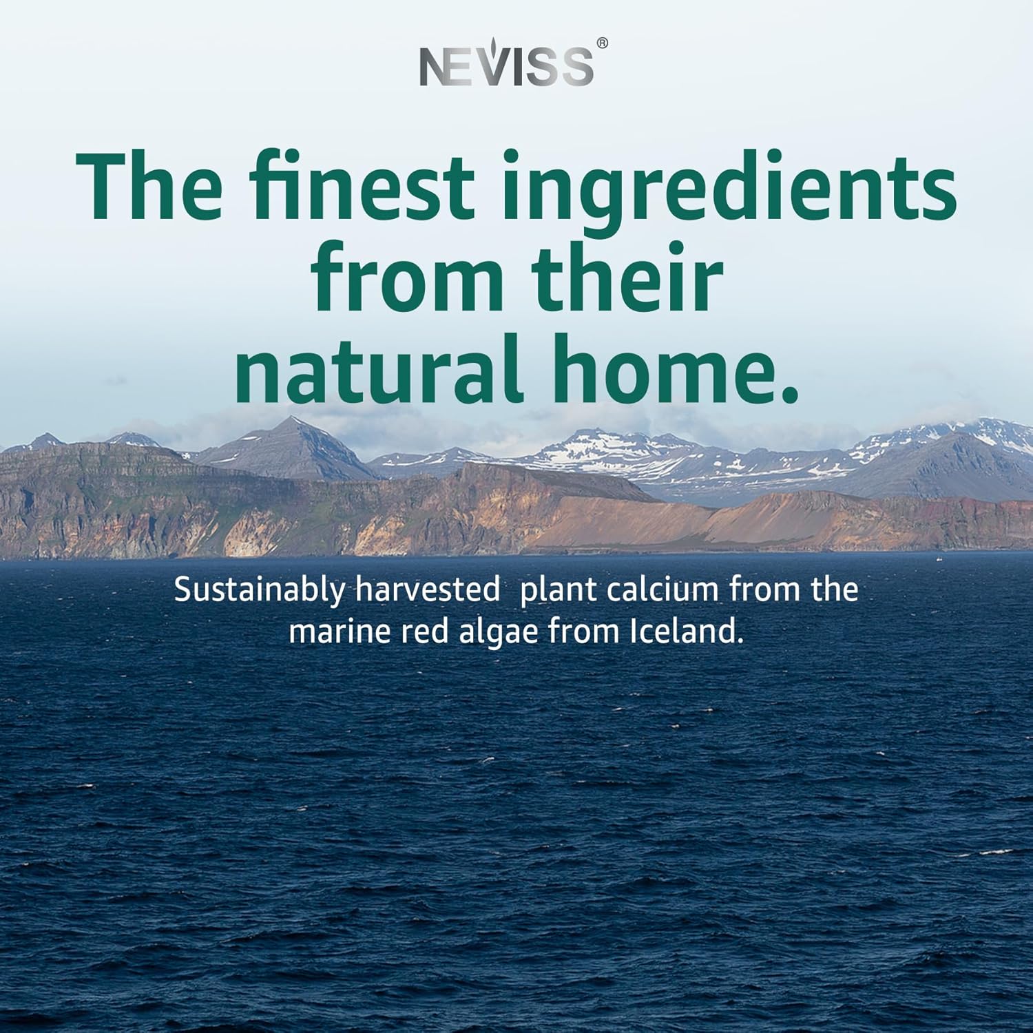 Calcium Gummies for Women + Magneisum Vitamin D3 K2, C, Zinc, Boron, Sustainable Algae (3rd Party Tested) for Bone Strength, Nerve, Calcium Absoption, Sugar Free Calcium Supplement, Vegan, 60 Counts - Image 8