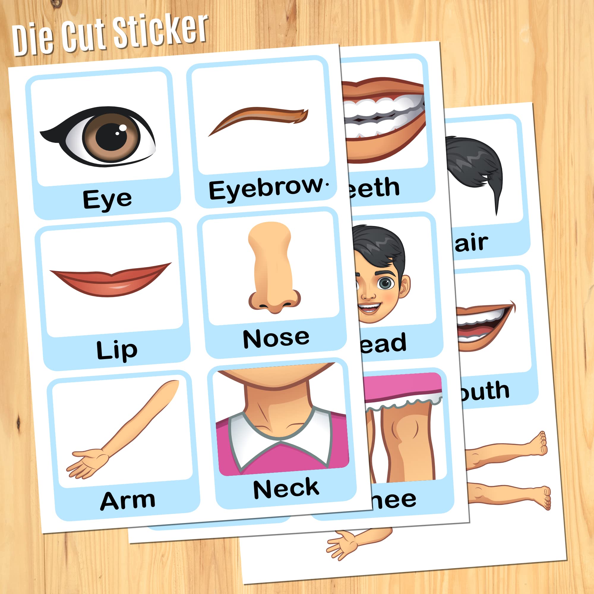 Kids Body Parts Wall Stickers - Learn & Decorate! -3 Kids Body Parts Wall Stickers - Learn & Decorate! -3