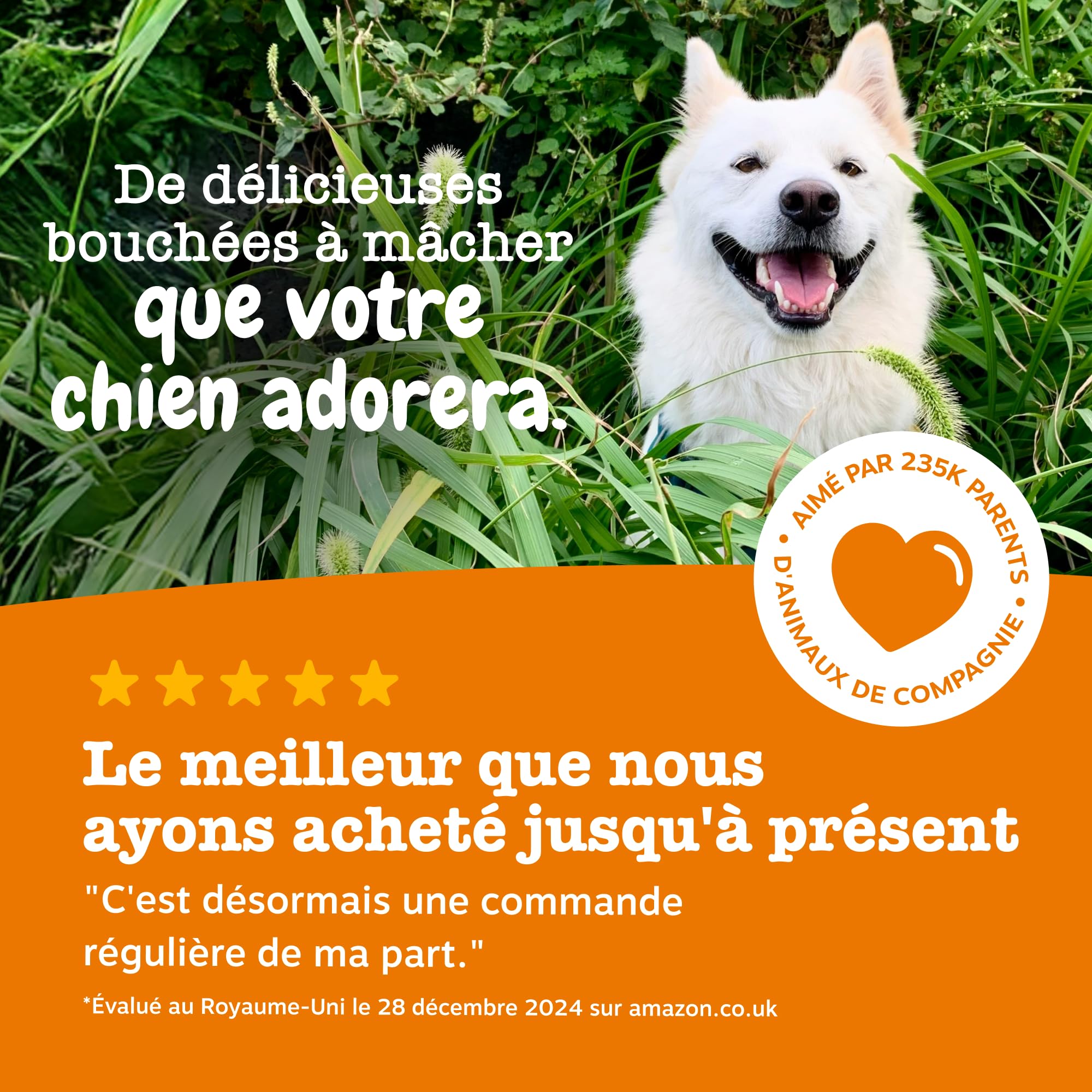 Zesty Paws Bouchées Anti-Démangeaisons pour Chien | Apaise Peau, Pattes & Oreilles Irritées | Soutient Immunité, Digestion et Peau | Avec Huile de Saumon & Probiotiques | Usage Quotidien | 90 Bouchées