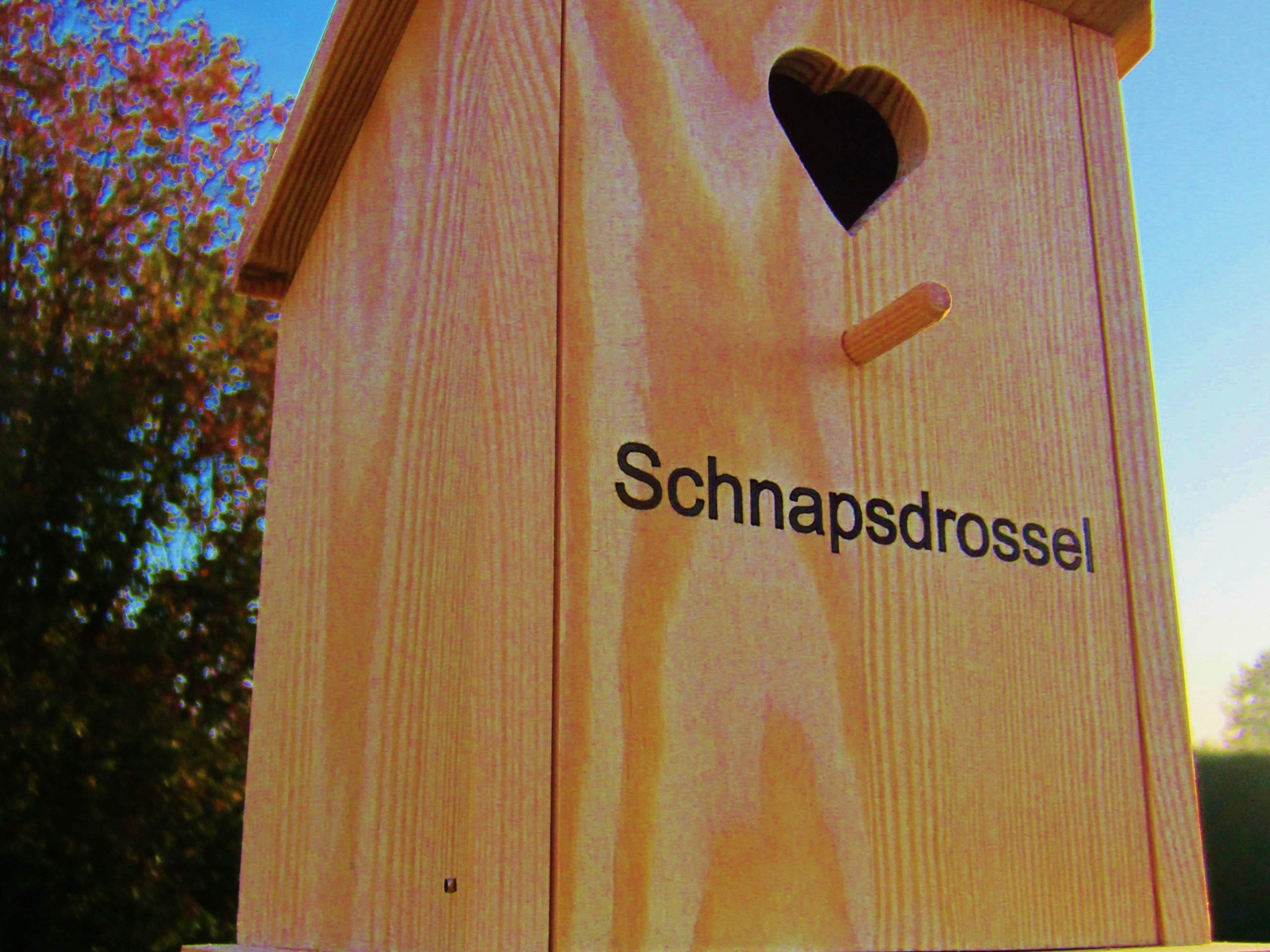 Vogelhaus ´Schnapsdrossel´