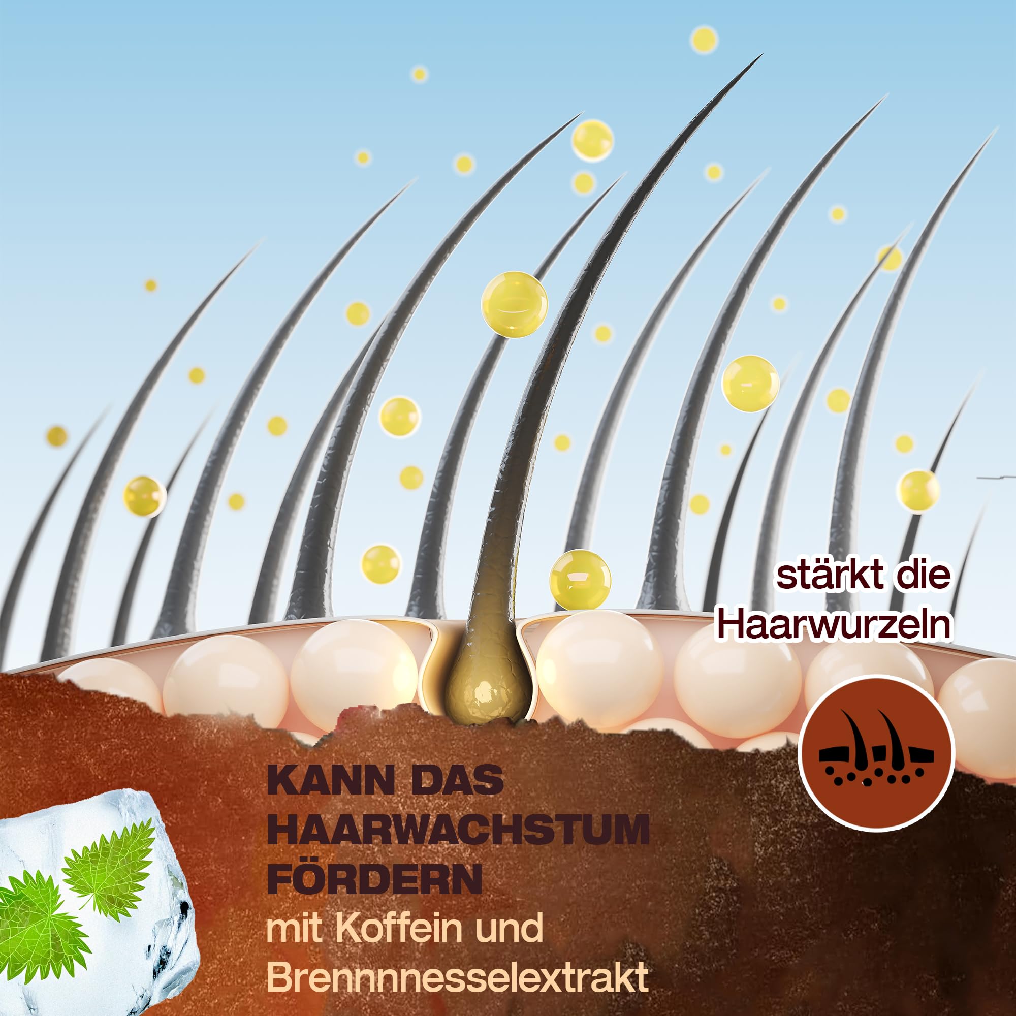 Hairtonic ICE, Kühleffekt durch Menthol, Haartonikum, Haarwasser, pflegend für Haar & Kopfhaut mit Koffein Brennnesselextrakt, Aloe-Vera-Saft, Avocadoöl, Panthenol, Unterstützt Haarwachstum