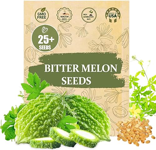 Semillas de calabaza amarga prémium para plantar, 25 semillas de reliquia sin OMG, de alto rendimiento, extra largas, sabor auténtico