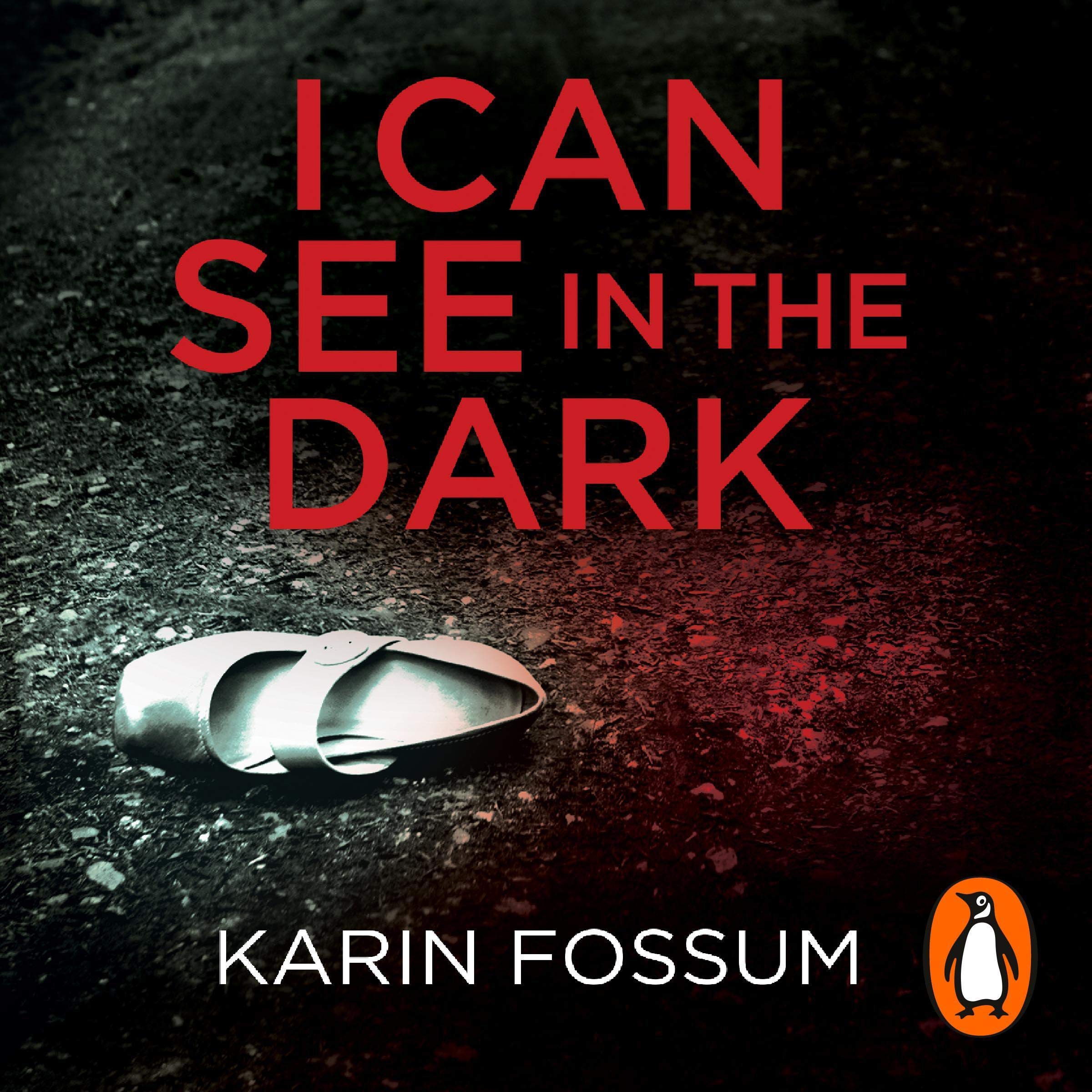 Cover art for I Can See in the Dark