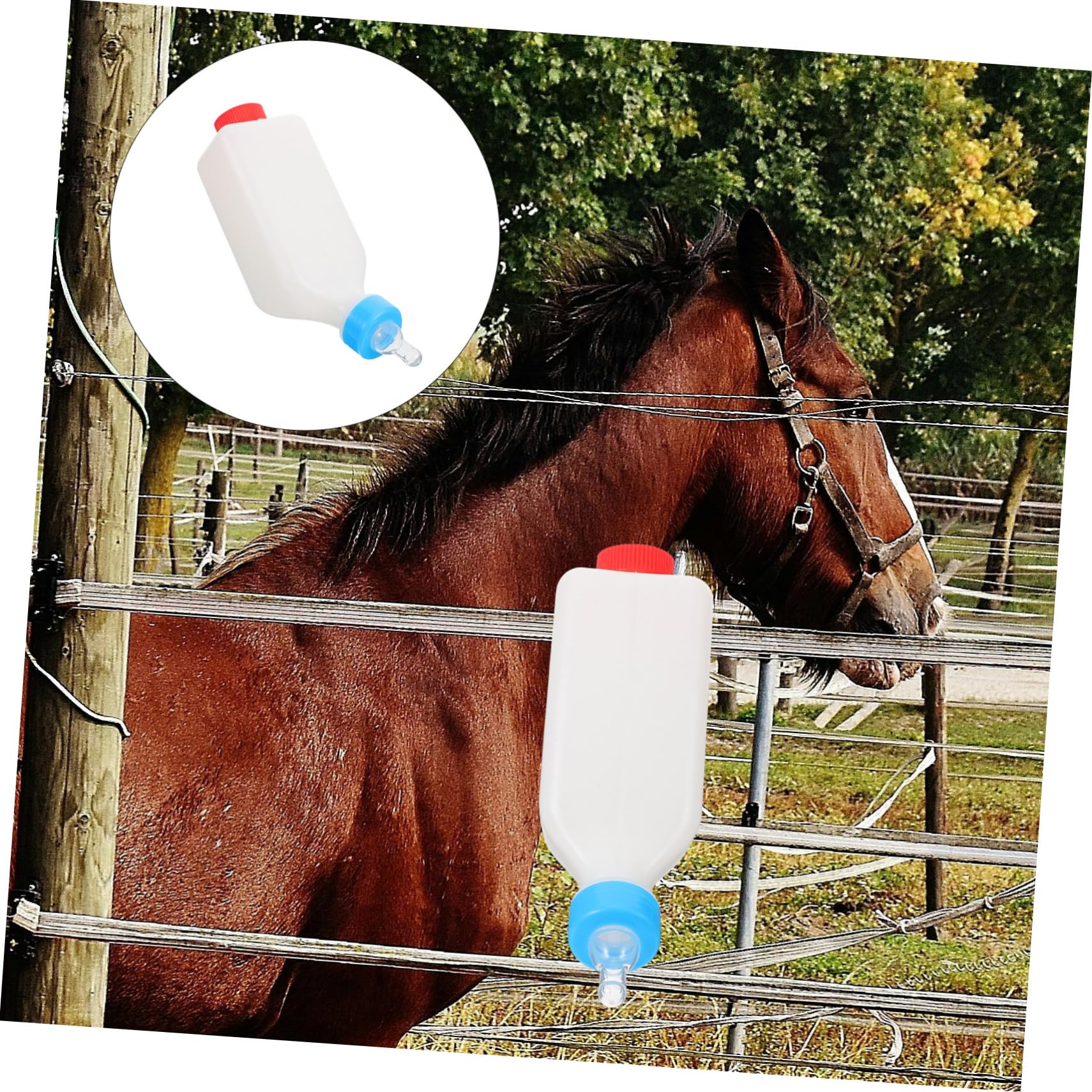 BESPORTBLE 5 Piezas Botella De Pet Cerdito Pequeña Botella De Leche De Ganado Biberón Para Terneros Biberón Para Ovejas Contenedor De Alimentación De Mascotas El Plastico