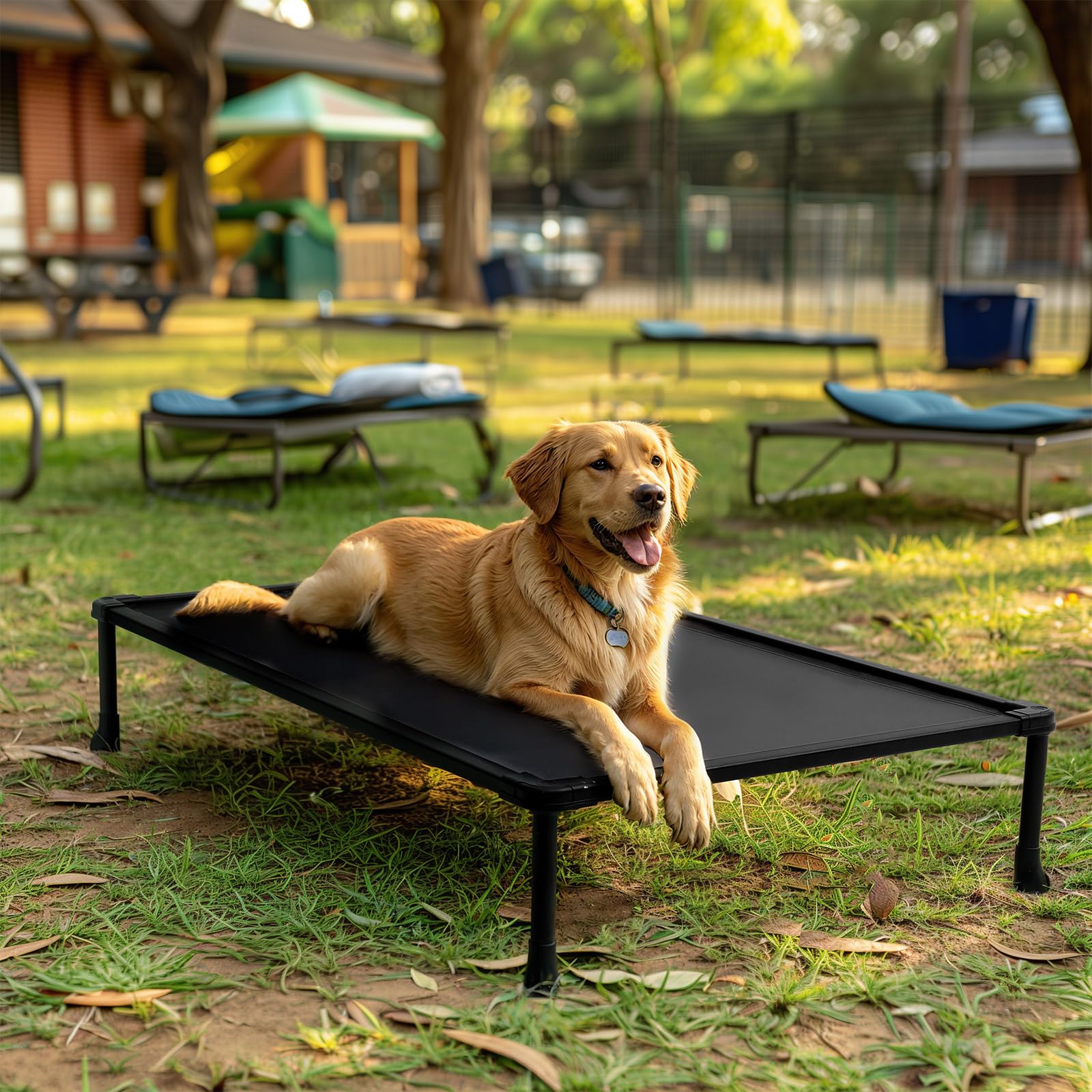 Veehoo Chew Proof Elevated Dog Bed, Durable Raised Dog Training Platform, Platform Dog Beds for Large Dogs, Raised Pet Cot Training System for Place, Agility, Indoor or Outdoor, CWC2420CP