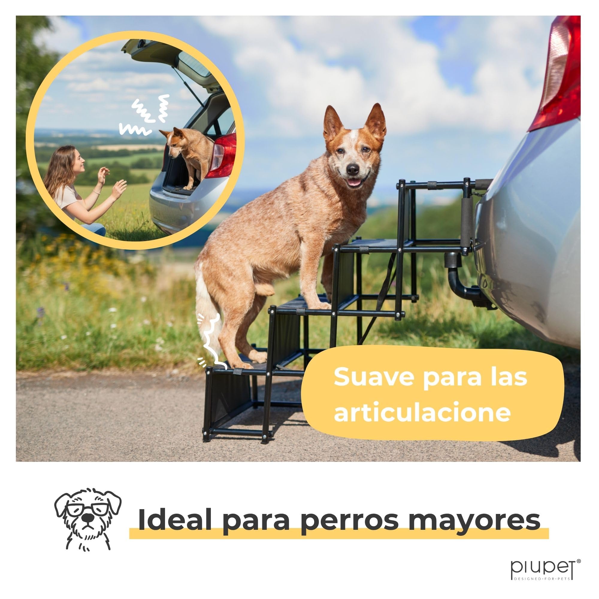 PiuPet® Rampa para Perros I hasta 80kg Cargable I Utilizable para Todos los vehículos I Escalera para Perros Plegables | Escalones para Mascotas | Rampa Coche