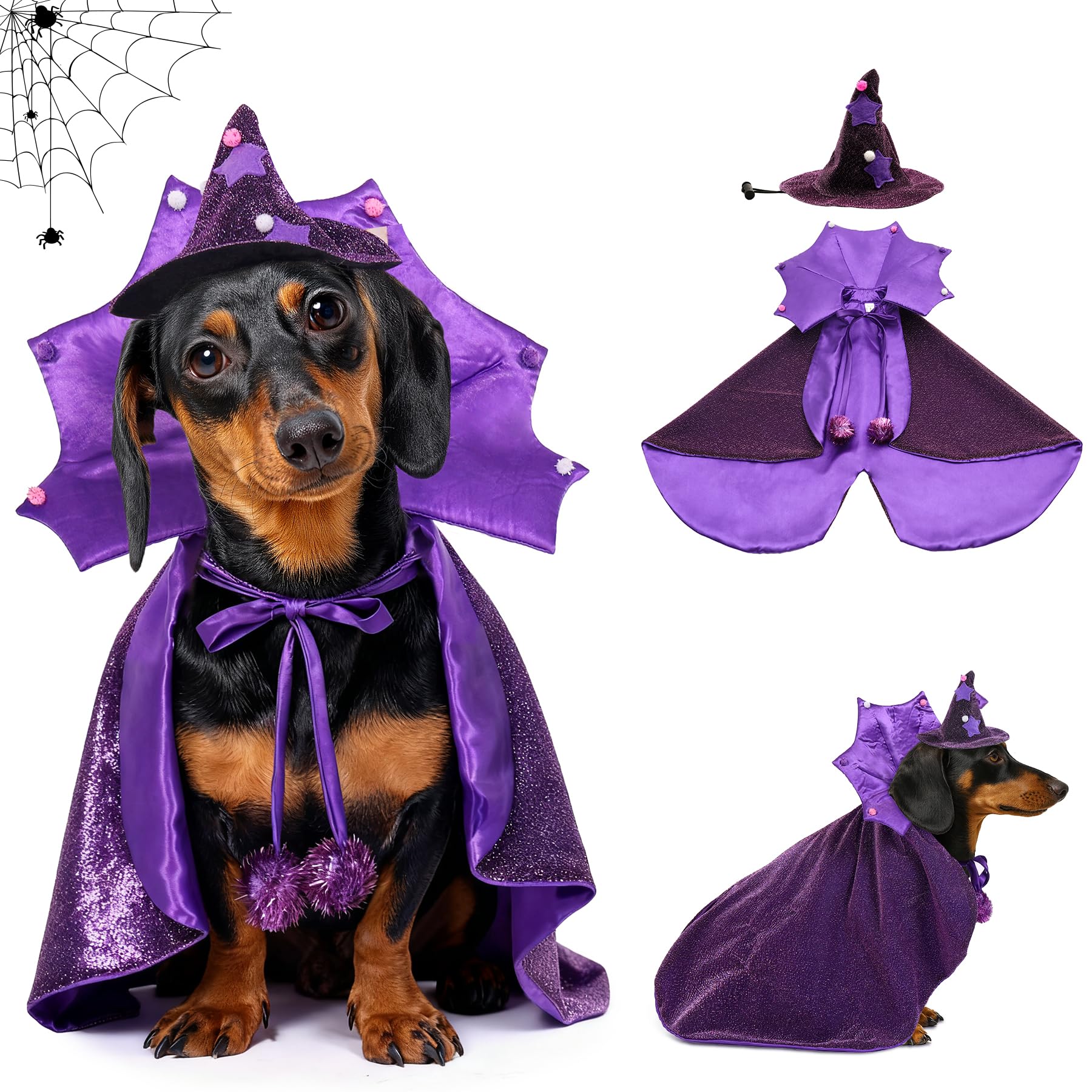 Small Dog Witch Costume Wizard Hat and Cape