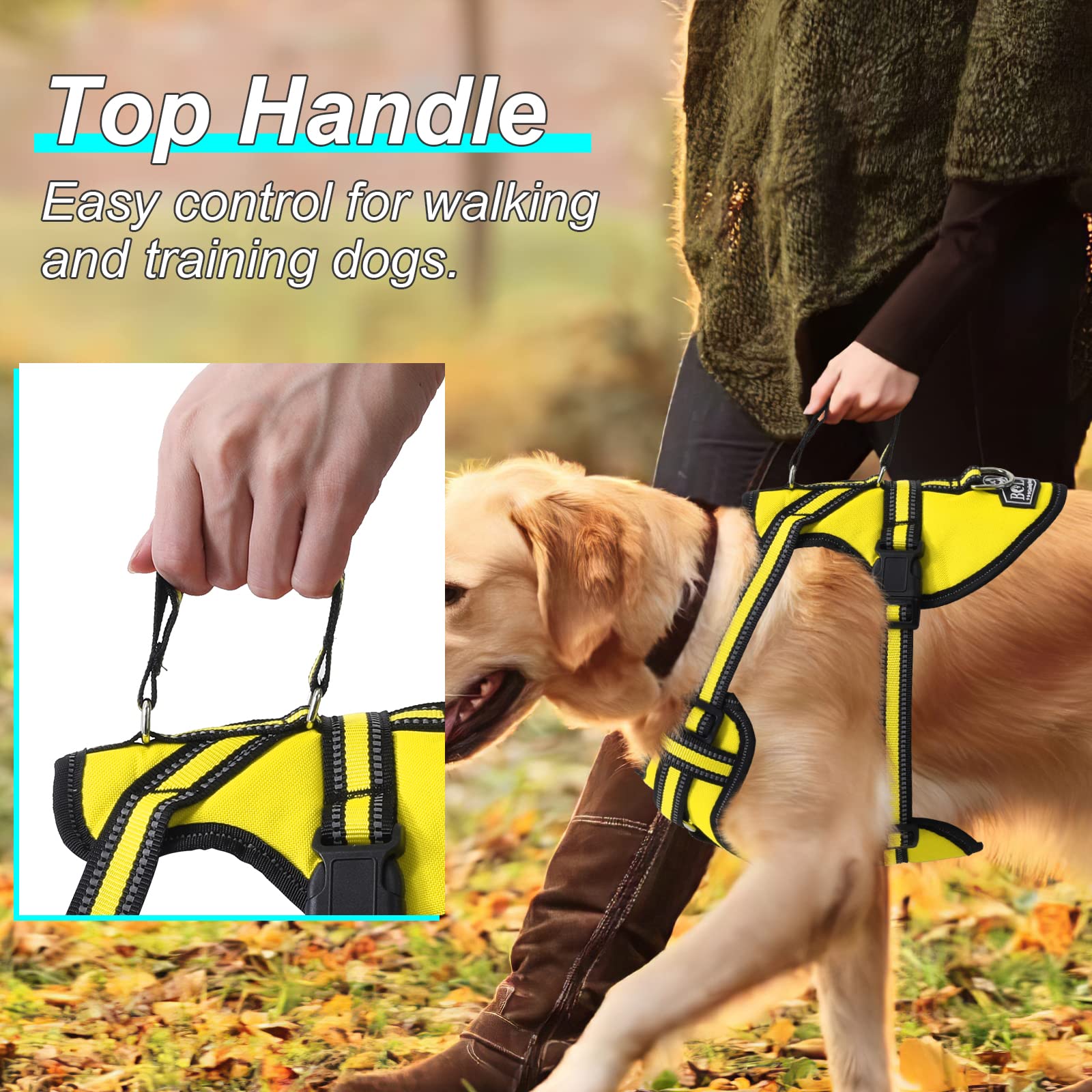 Harnais Anti-traction Pour Chien Bolux - Réfléchissant, Avec Poignée, Taille M (9.5-18 Kg), Bleu