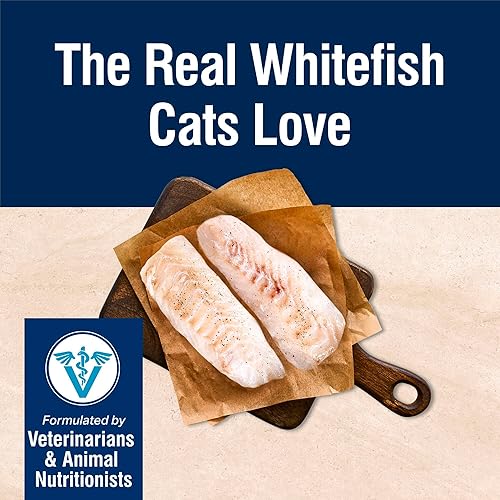 Miniatura 3 de Blue Buffalo True Solutions Perfect Skin & Coat - Alimento húmedo natural para gatos adultos, pescado blanco, latas de 3 onzas (paquete de 24)