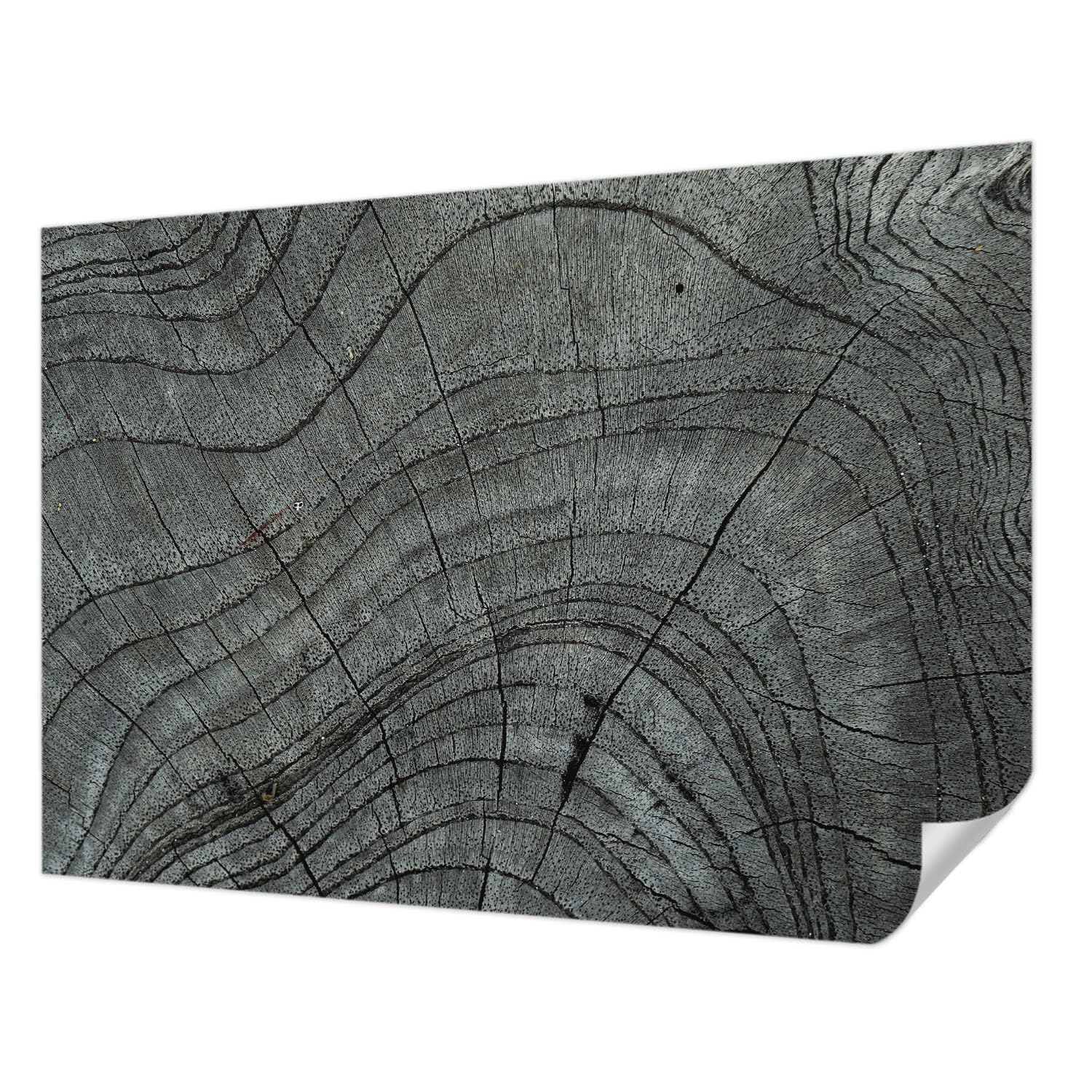 Papier peint adhésif pour chambre et salon panoramique motif grain de bois