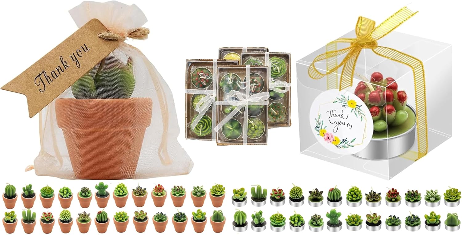 Terracotta Cactus Candles with Clear Succulent Candles