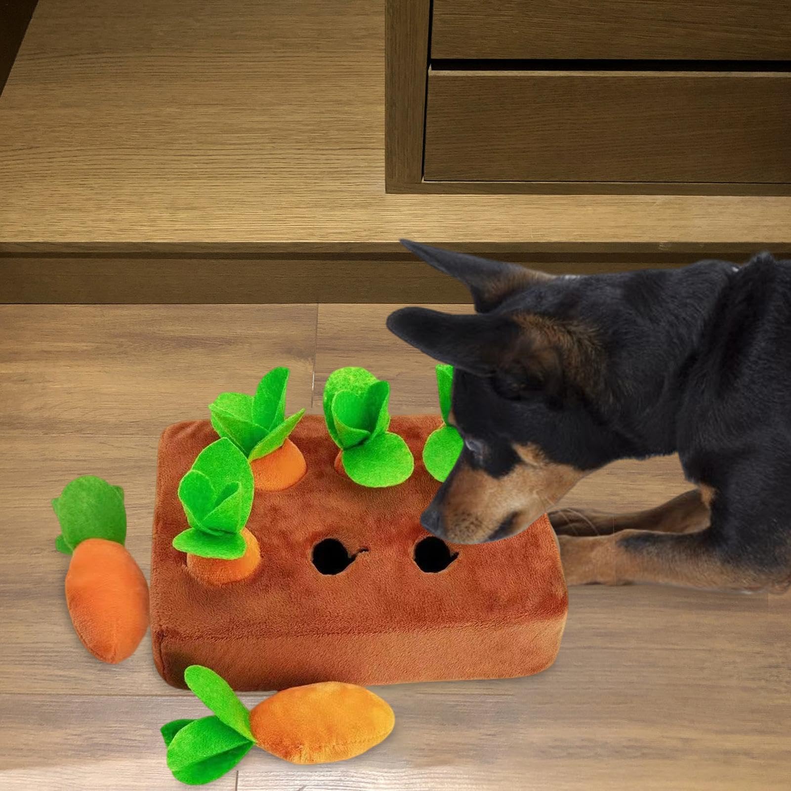 Karottenspielzeug Fr Hunde - Bissfestes Mhren-Spielzeug, Gefllte  Schwmme Mit Bio-Baumwolle Fr Die Karotten-Ernte | Hundespielzeug Mit  Mhren Garten : Amazon.de: Haustier