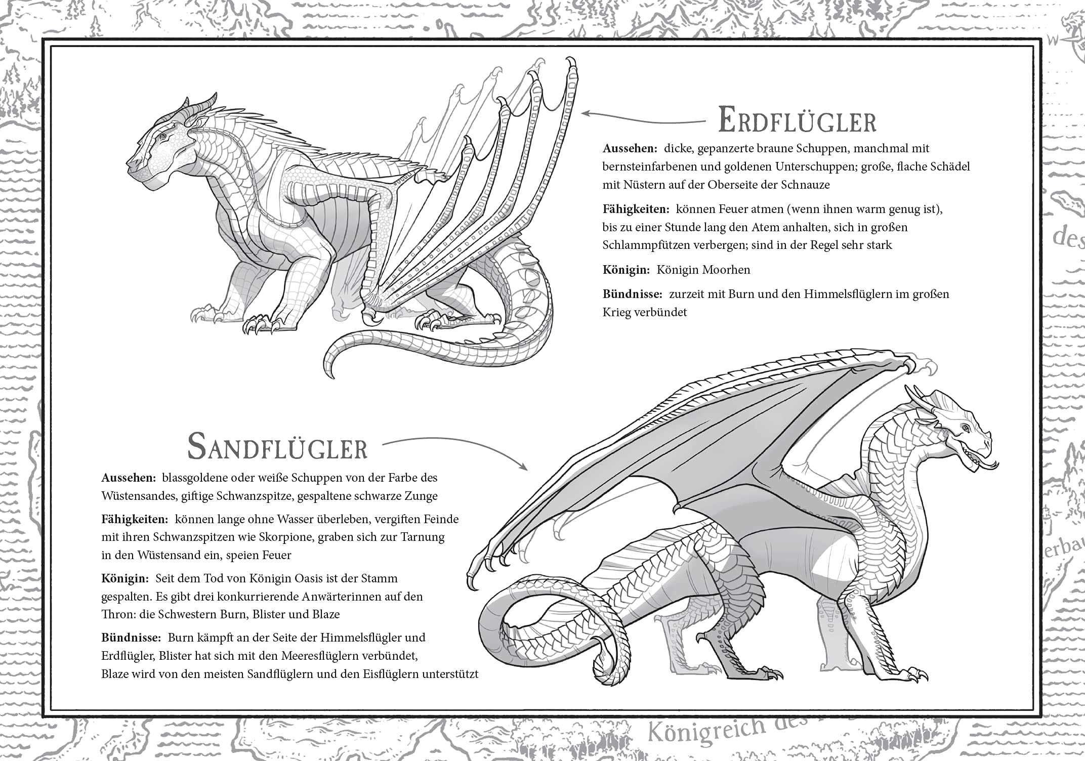 Wings of Fire 1: Die Prophezeiung der Drachen - Die NY-Times Bestseller Drachen-Saga