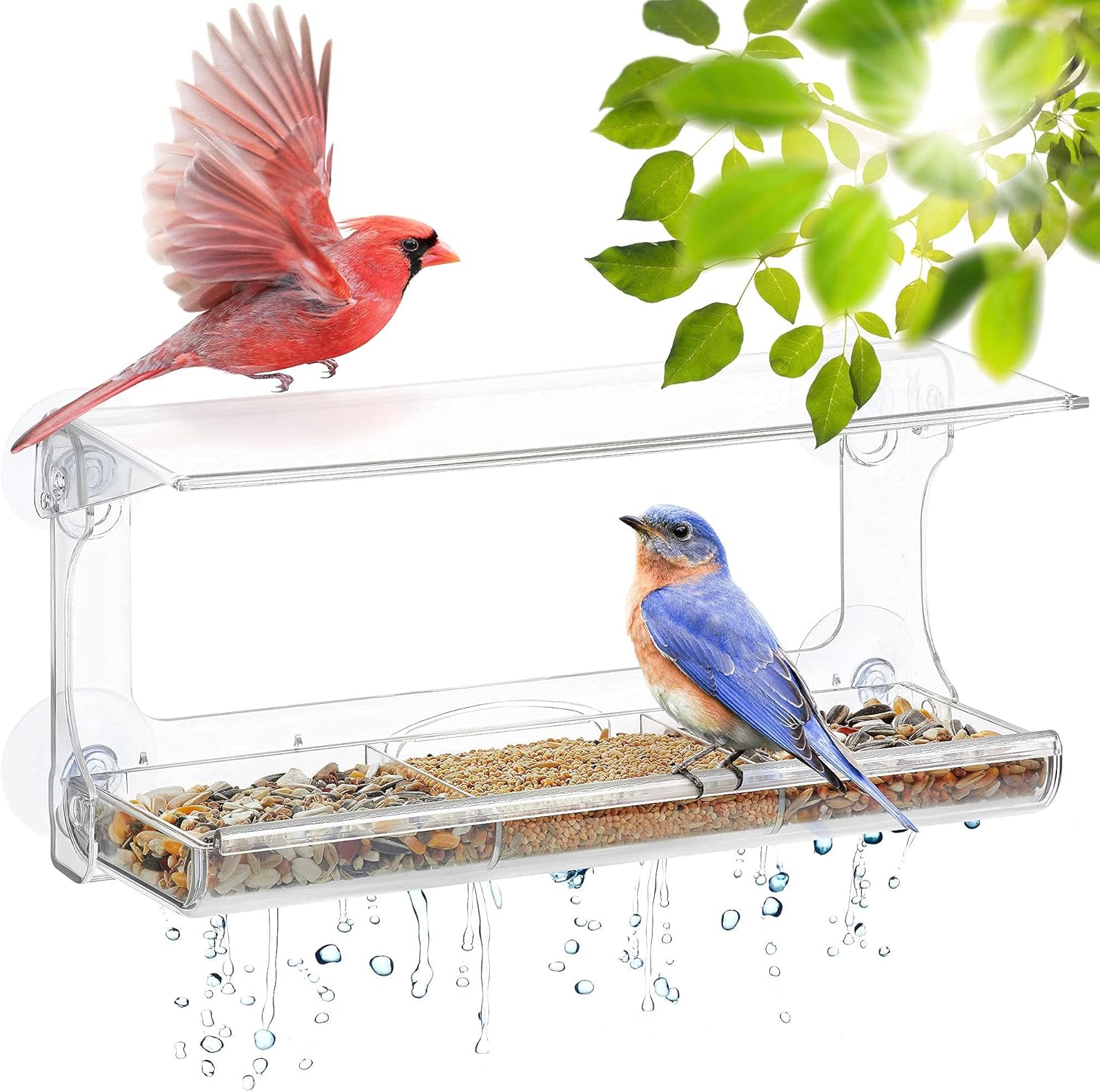 UPP comedero de pájaros Exterior para Ventana I alimentador de Aves, observa los pájaros Desde la Ventana I pajarera Transparente, con 4 ventosas (30 x 14 x 10 cm)