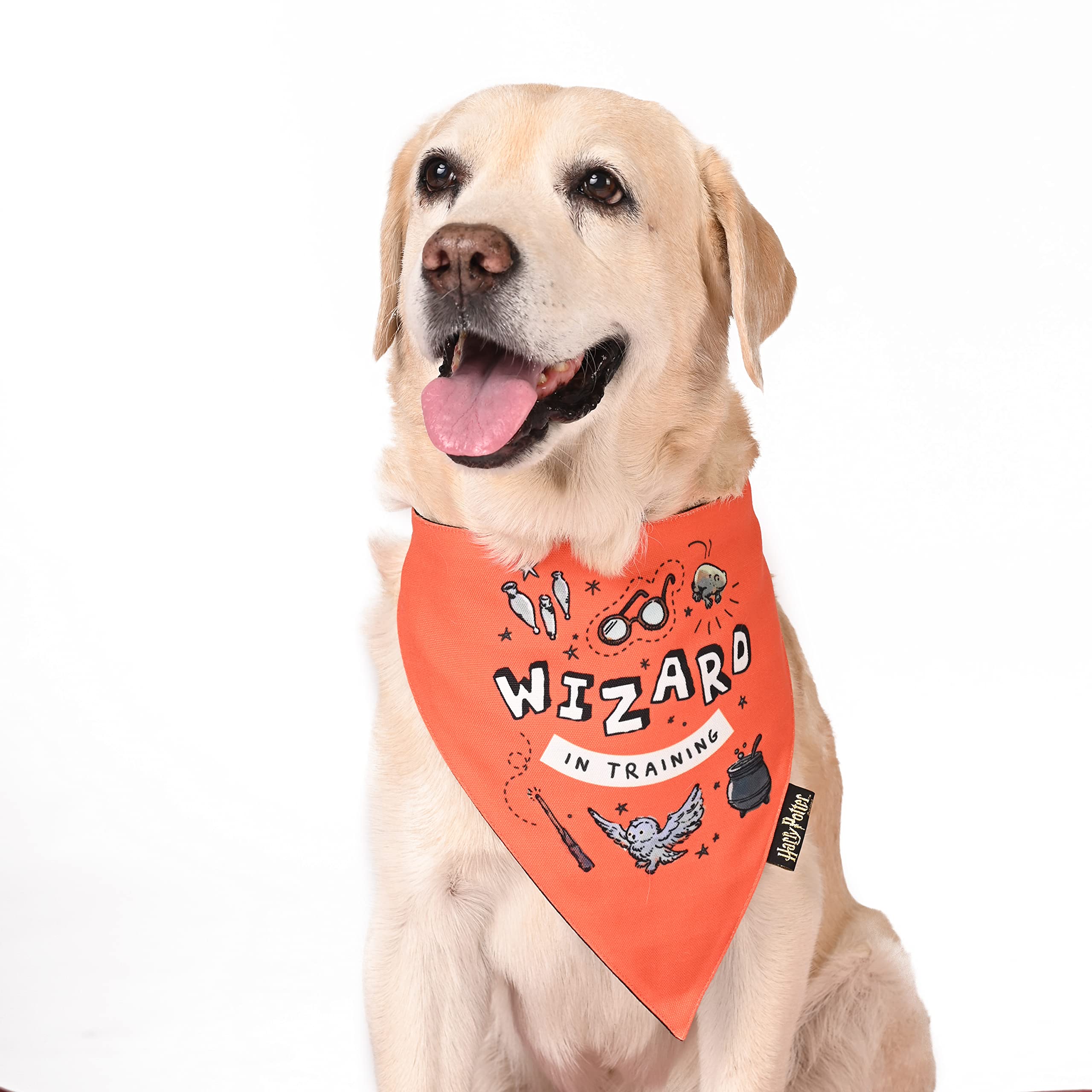 See full amazon price history chart for Harry Potter - Woofy Wizard Bandana - by Mutt of Course (Color - Orange) (Large Size) Harry Potter - Woofy Wizard Bandana - by Mutt of Course (Color - Orange) (Large Size) (B09MFR5X4B) Amazon Price History, Amazon Price Tracker