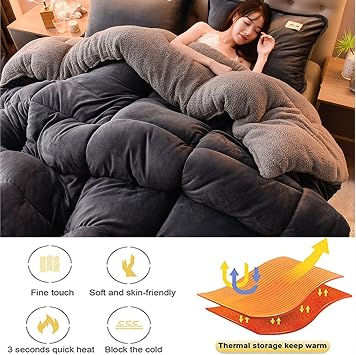 ZTGL Thickened Super Warm Winter Quilt Grey Flannel Fleece/Wool Like Double Fabrics, Breathable Warmth Fluffy Plush Double Sided Velvet Bed Blanket for Cold Weather,220x240cm(5kg)
