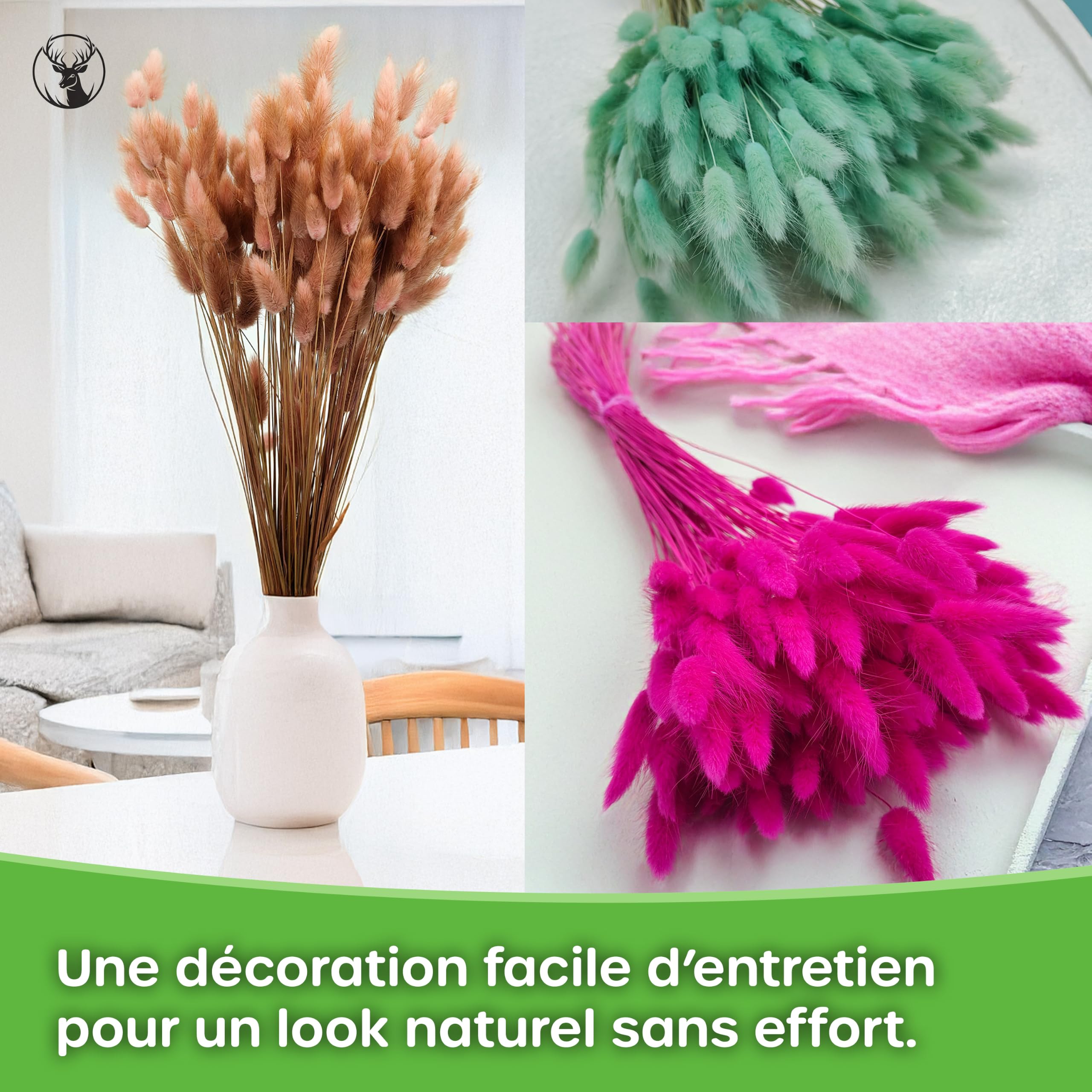 Enchanted Herbe de Pampa Séchée, Lagurus Ovatus 120-150 Pcs 100g Fuchsia