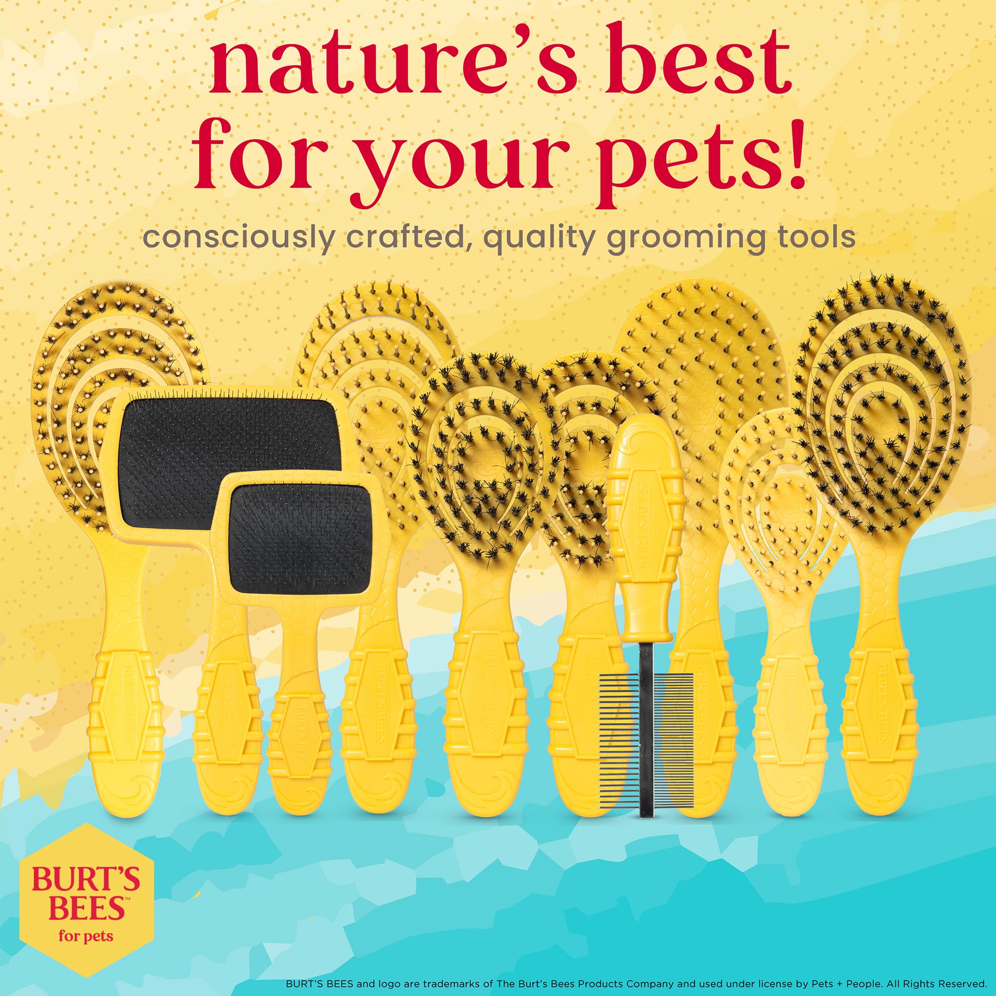 Burt's Bees for Pets Brosse démêlante pour chiots et petits chiens à poils moyens à longs | Manche en plastique recyclé 100% lié à l'océan | Brosse pour chien élimine les nœuds et desserre les tapis