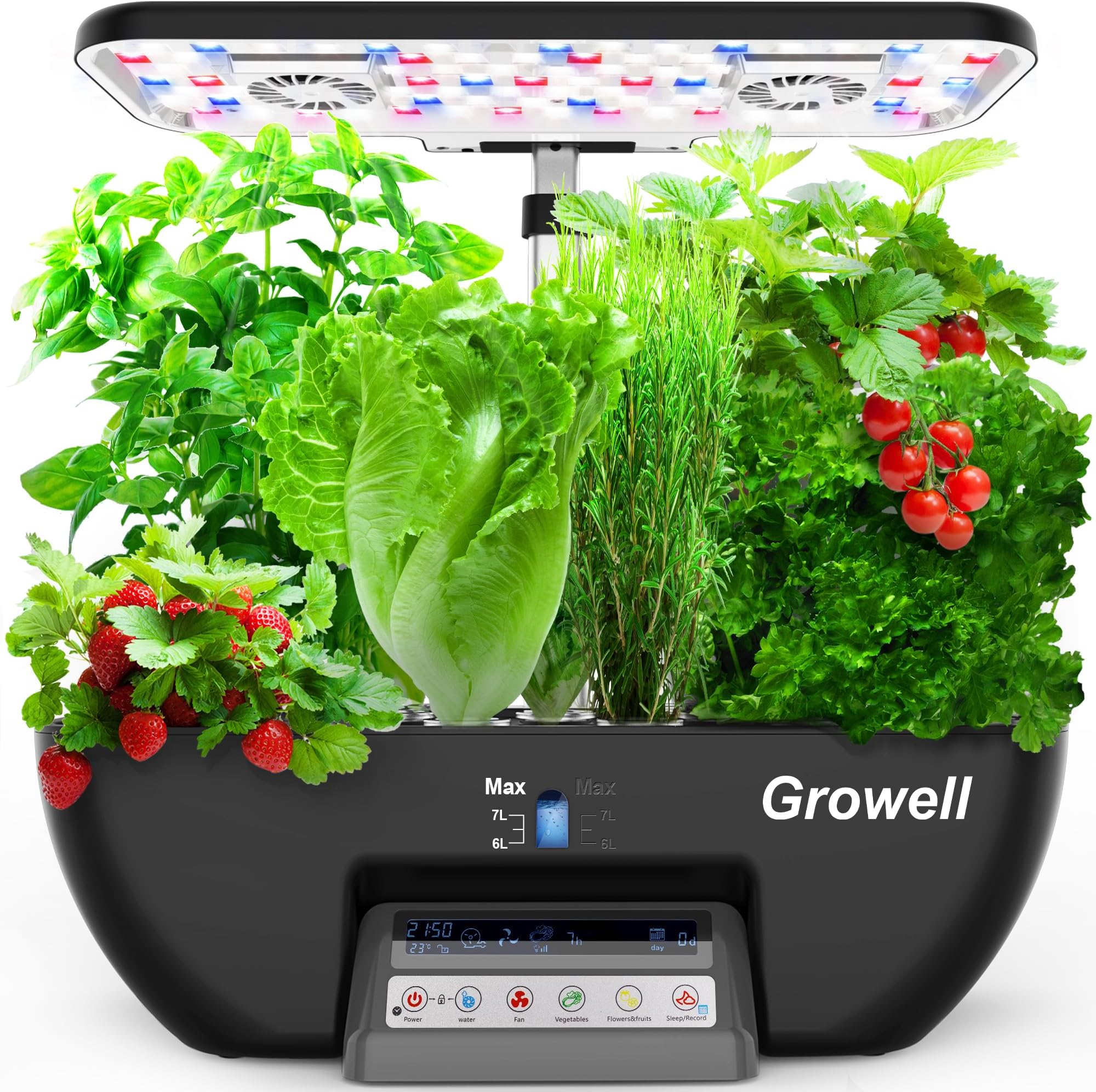 adilette plant and grow