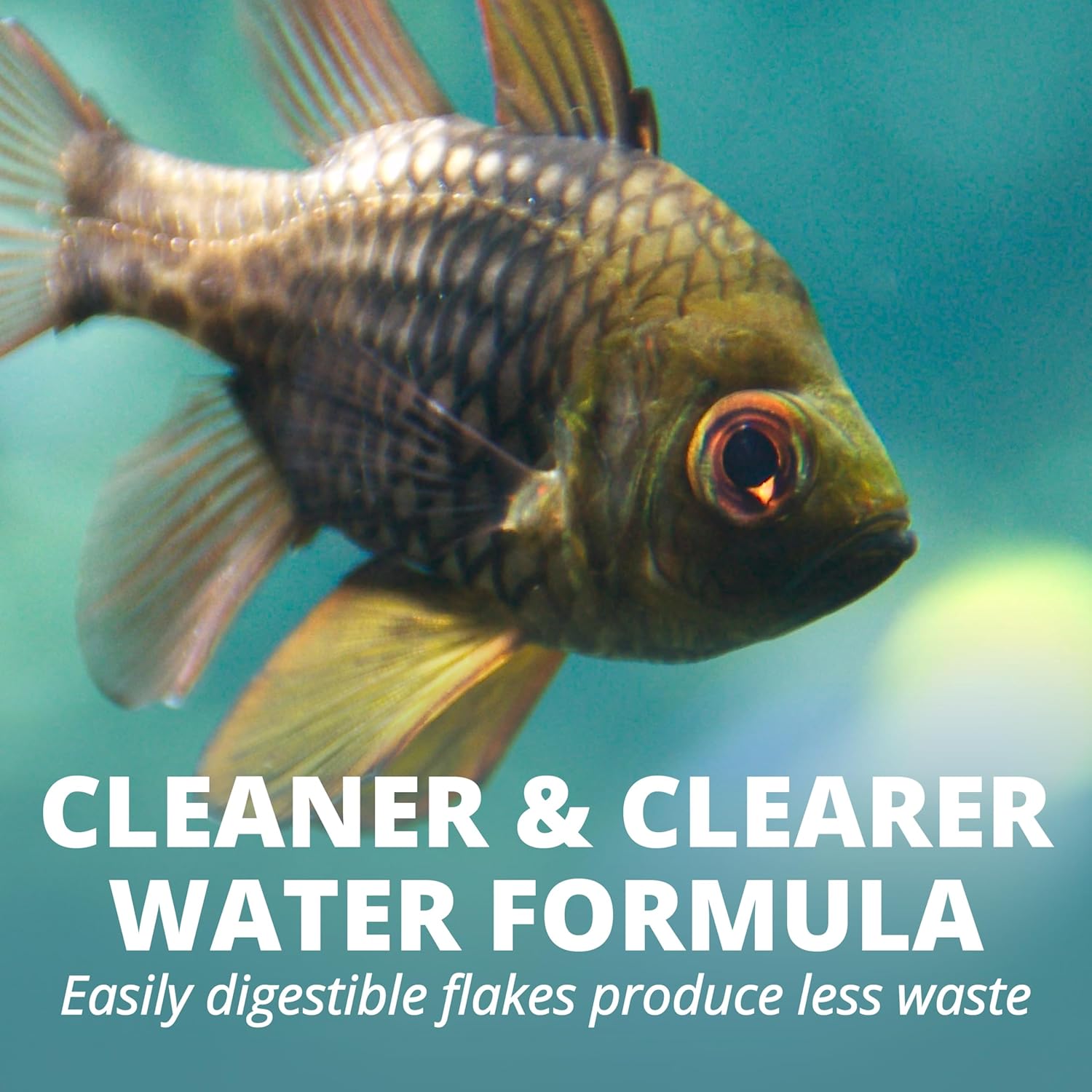 Tetra TetraMarine Large Saltwater Flakes for All Marine Fish