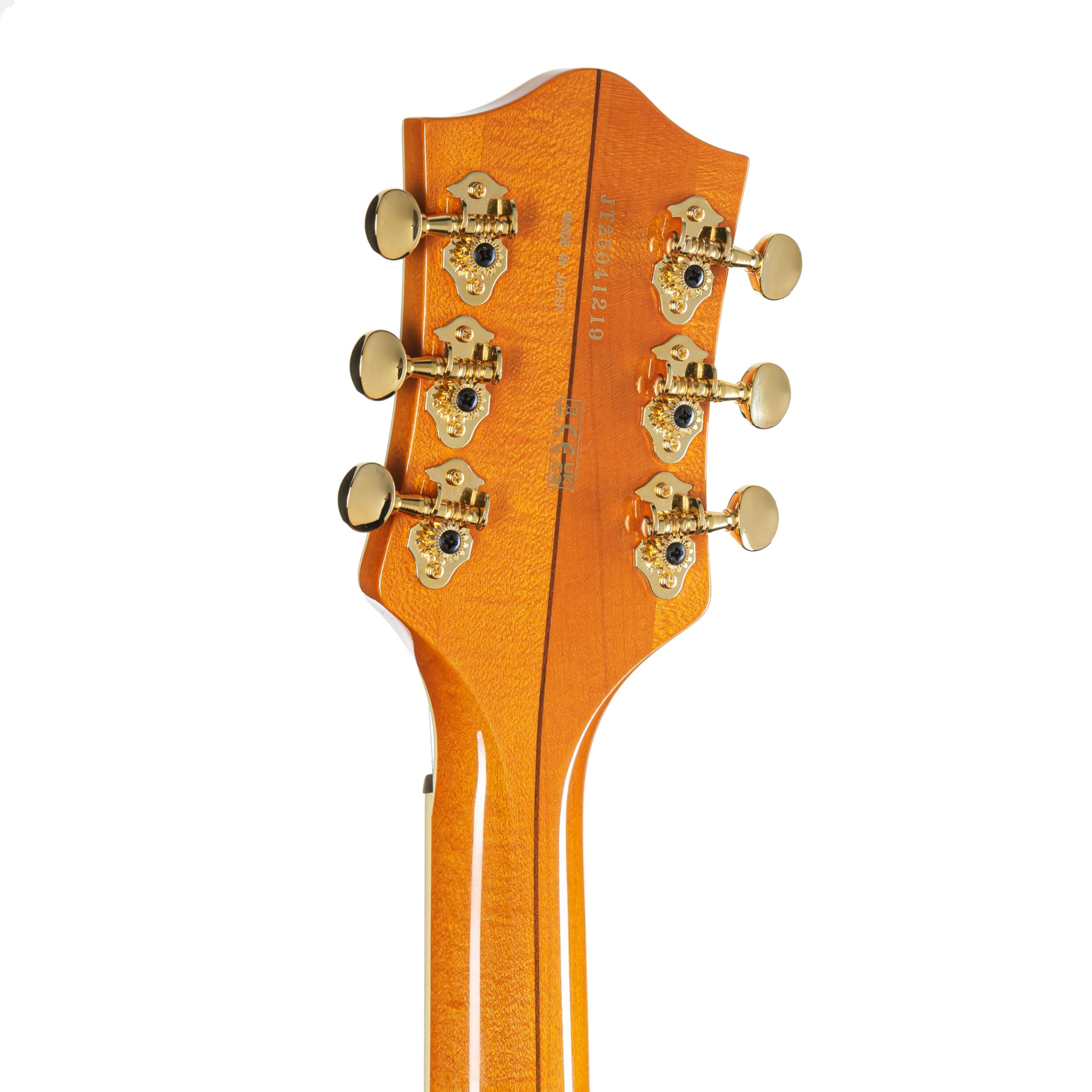 Amazon.com: Gretsch G6120 Eddie Cochran Signature Hollow Body