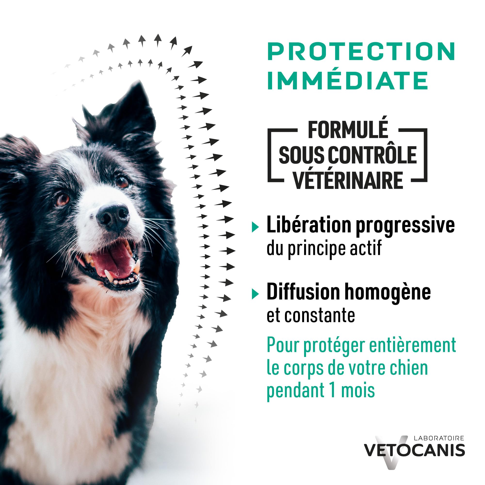 Vetocanis, Pipettes Anti Puces Chien, 2x1 Mois sans Tiques, Puces, Moustiques, Antiparasitaire Chien 2 à 10 kg, A base de Margosa, Répulsif Protection Immédiate, 2 Pipettes de 2 mL