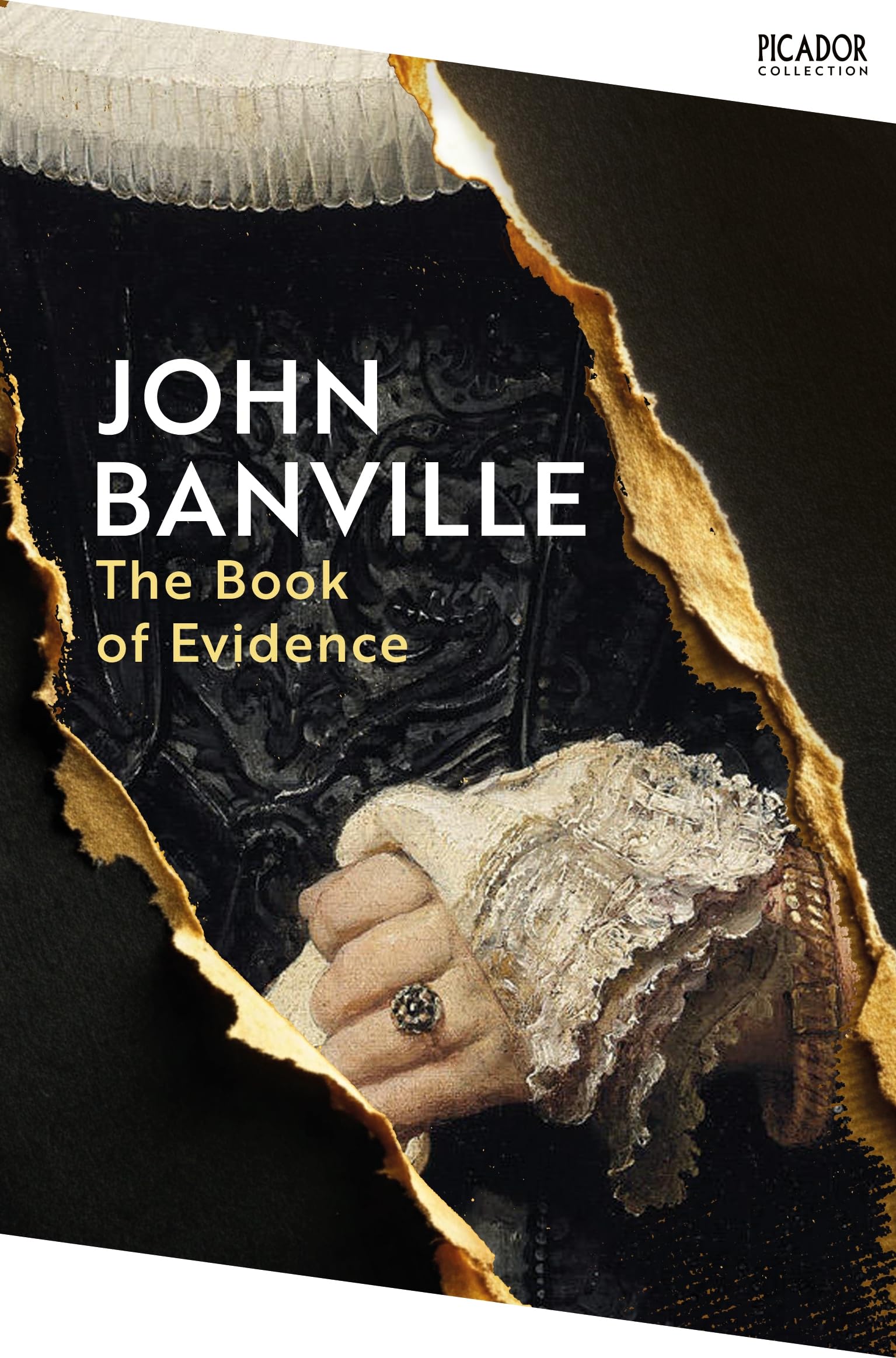 Book of Evidence by John Banville (Paperback Book)