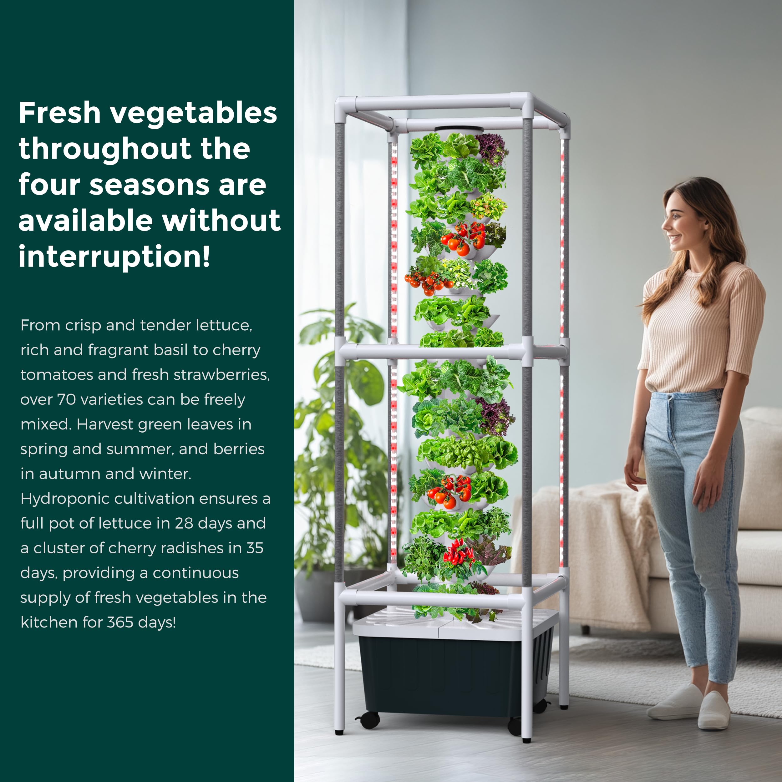 Amazon.com : SJZX Hydroponic Growing System Kit - 70 Pods Large