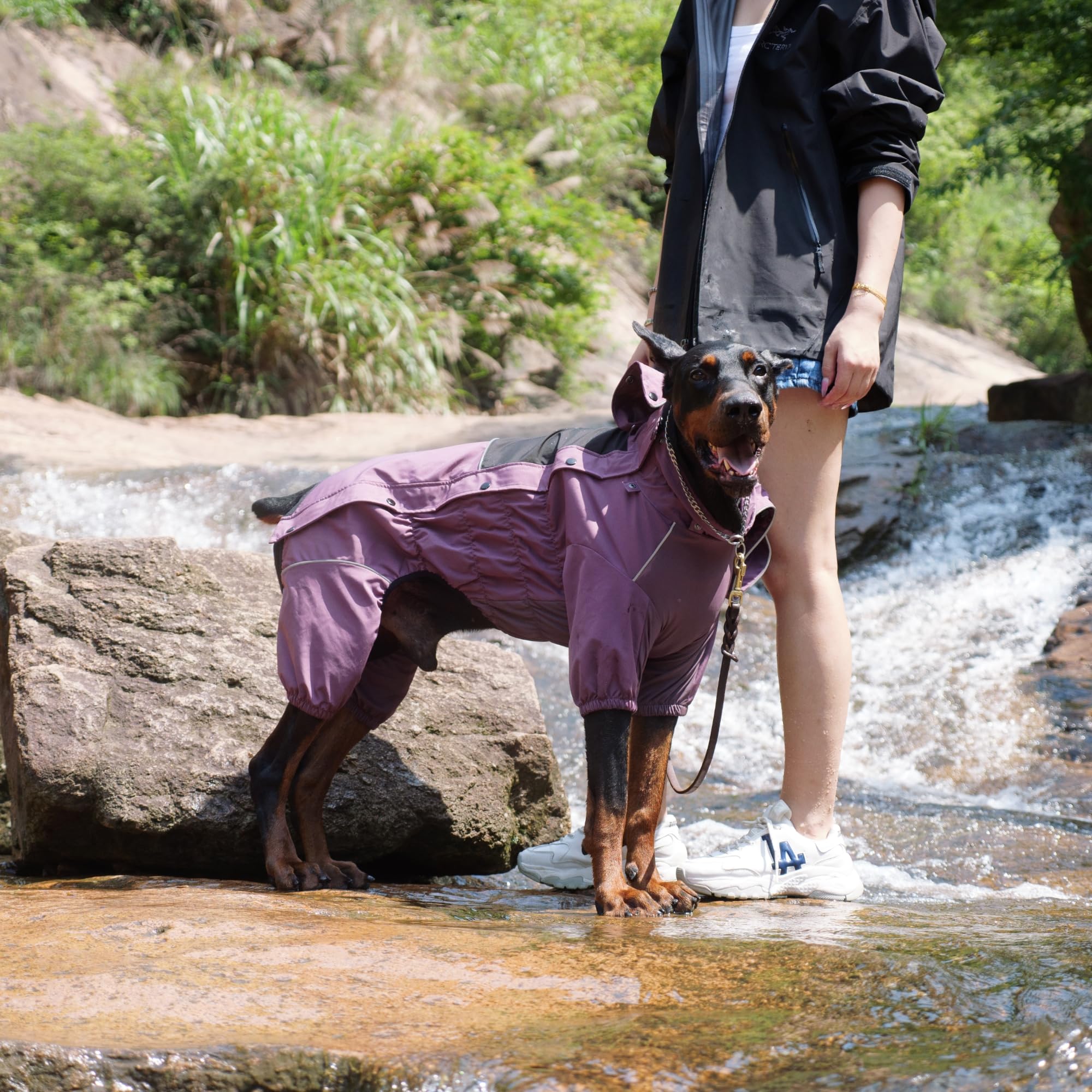 LOVELONGLONG Waterproof Dog Raincoat with Removable Hood, Outdoor Full Body Dog Jacket, Windproof Snowproof Shell Suit - Image 4
