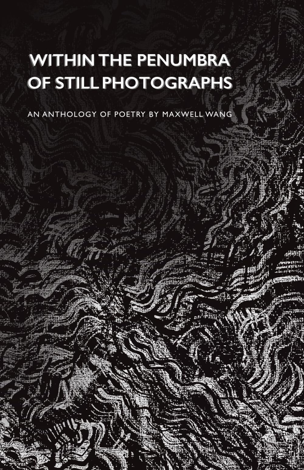 Within the Penumbra of Still Photographs