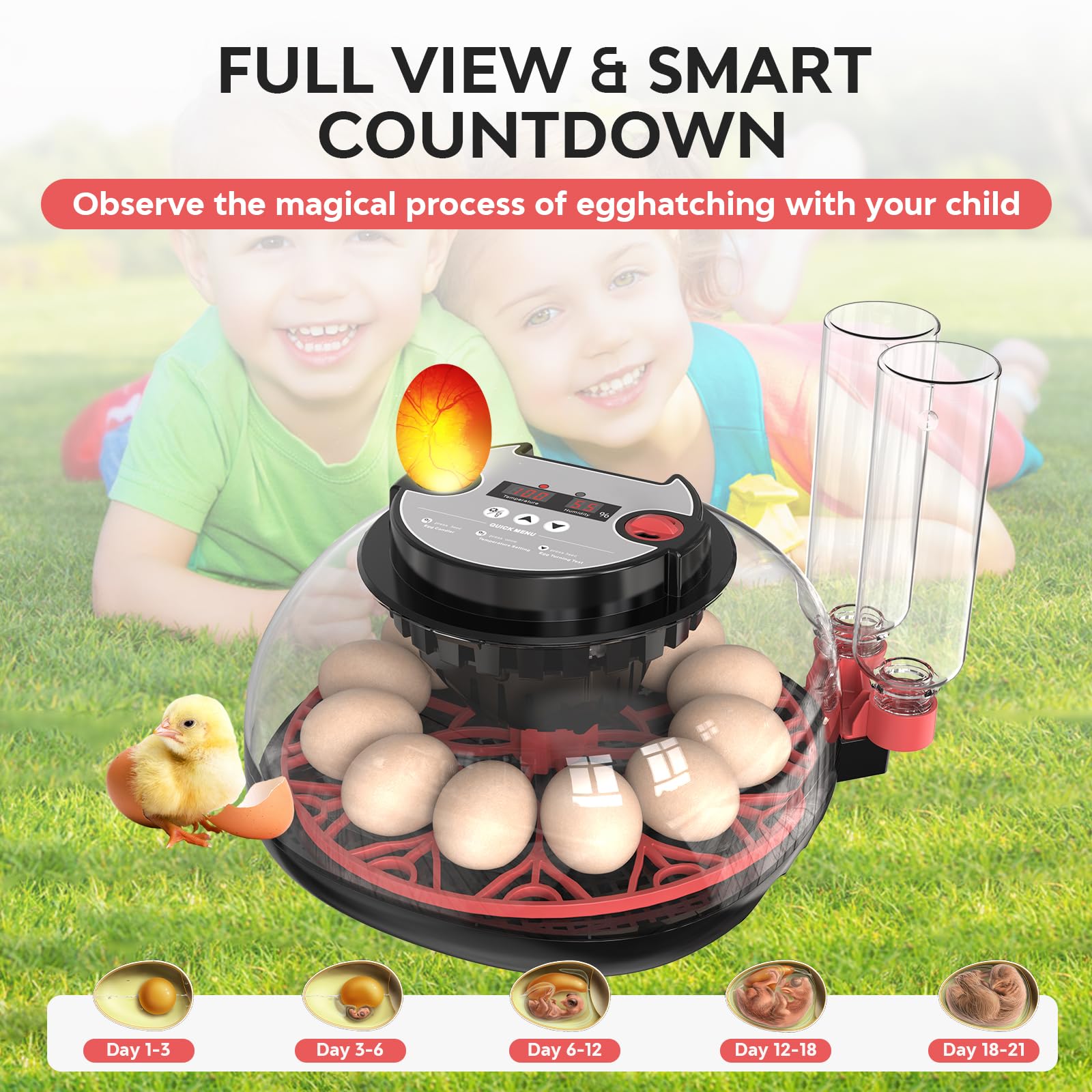 Incubadora de Huevos, Incubadora de 12 Huevos con Volteo Automático de Huevos y Humidificación automática, Incubadora para Huevos de Gallina, Codorniz, Pato, con Lámpara de Huevo