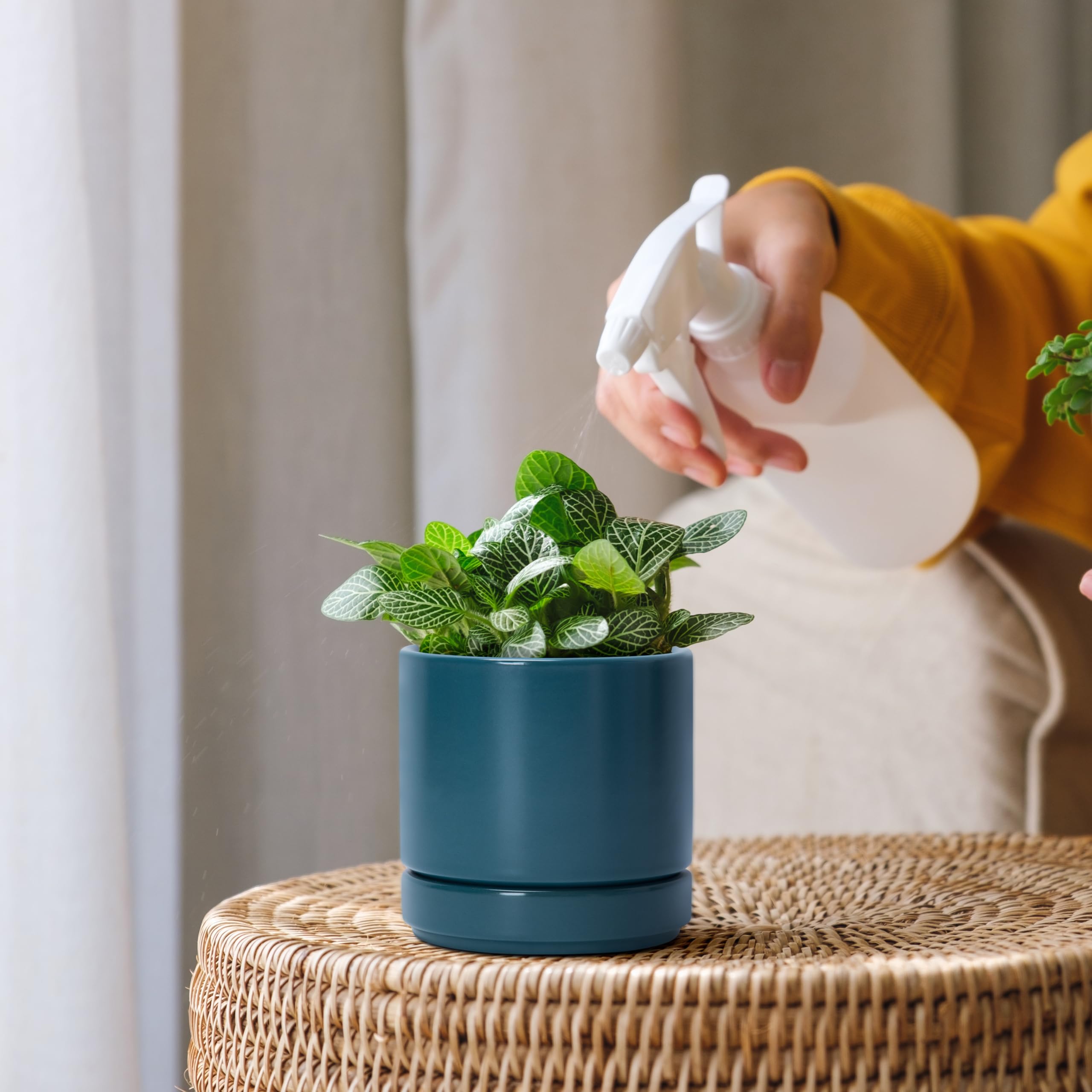 Amazon.co.jp: D'vine Dev 4.6インチ セラミックプランターポット 排水