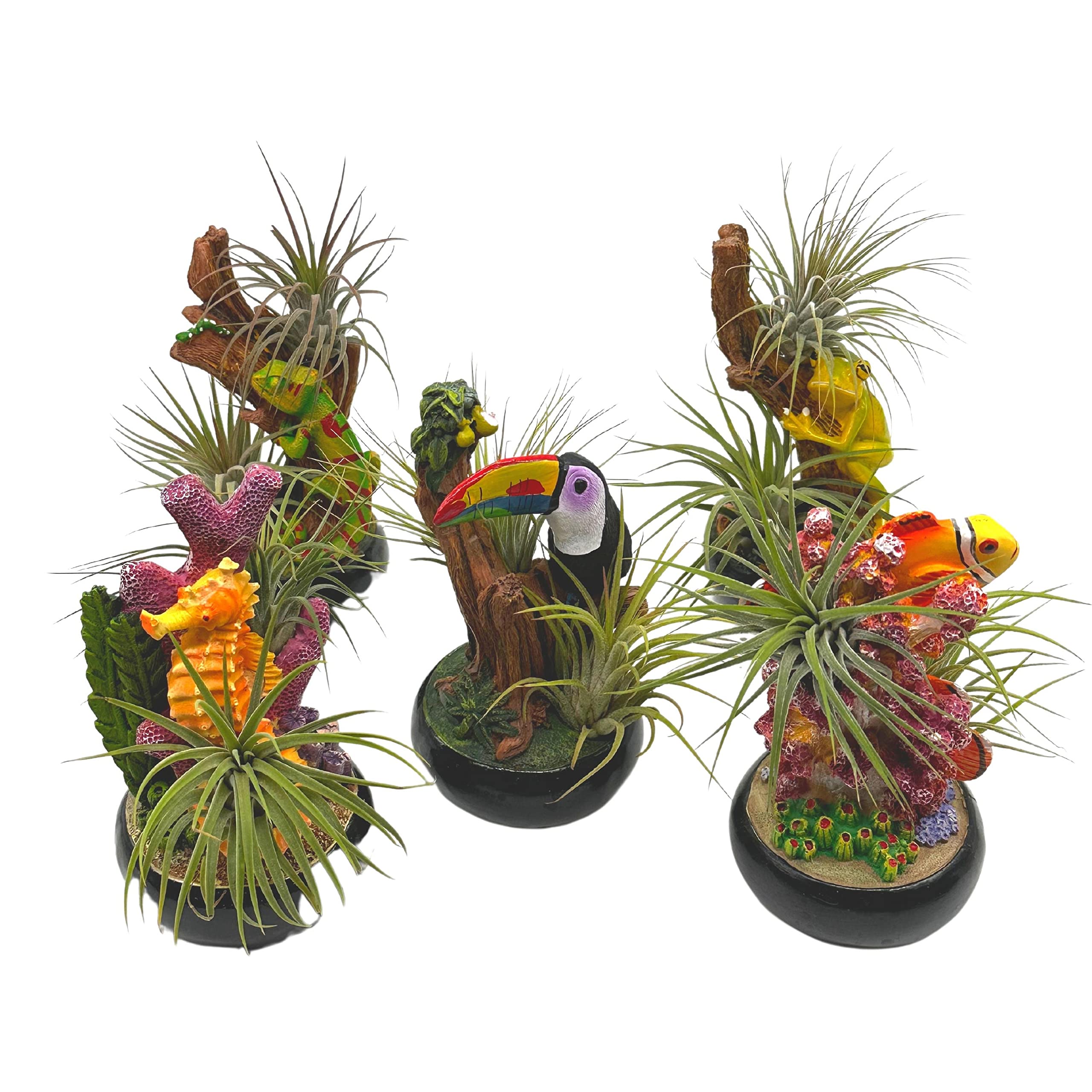 Resin Tropical Animals Air Plant Sculpture Tillandsia Planted in Hand Made Art Assorted Set of 5