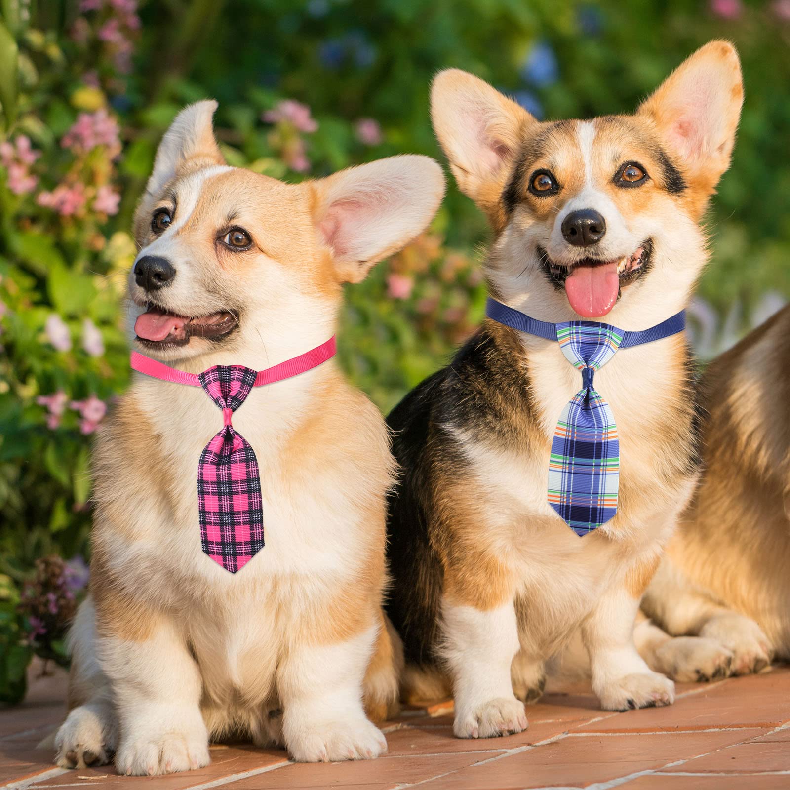 80 Stück Hunde-Fliegen, verschiedene Muster, Hundehalsband, Schleifen, Katzen-Fliege, Fliege für kleine, mittelgroße Welpen, Haustierfotografie, Festival, Fellpflege, Party (karierte Krawatte)