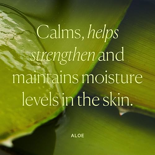 Miniatura 8 de Well People Dewy Juice - Esencia de aloe hidratante, tóner jugoso e hidratante para refrescar y calmar la piel, fabricado con agua de rosas, vegano