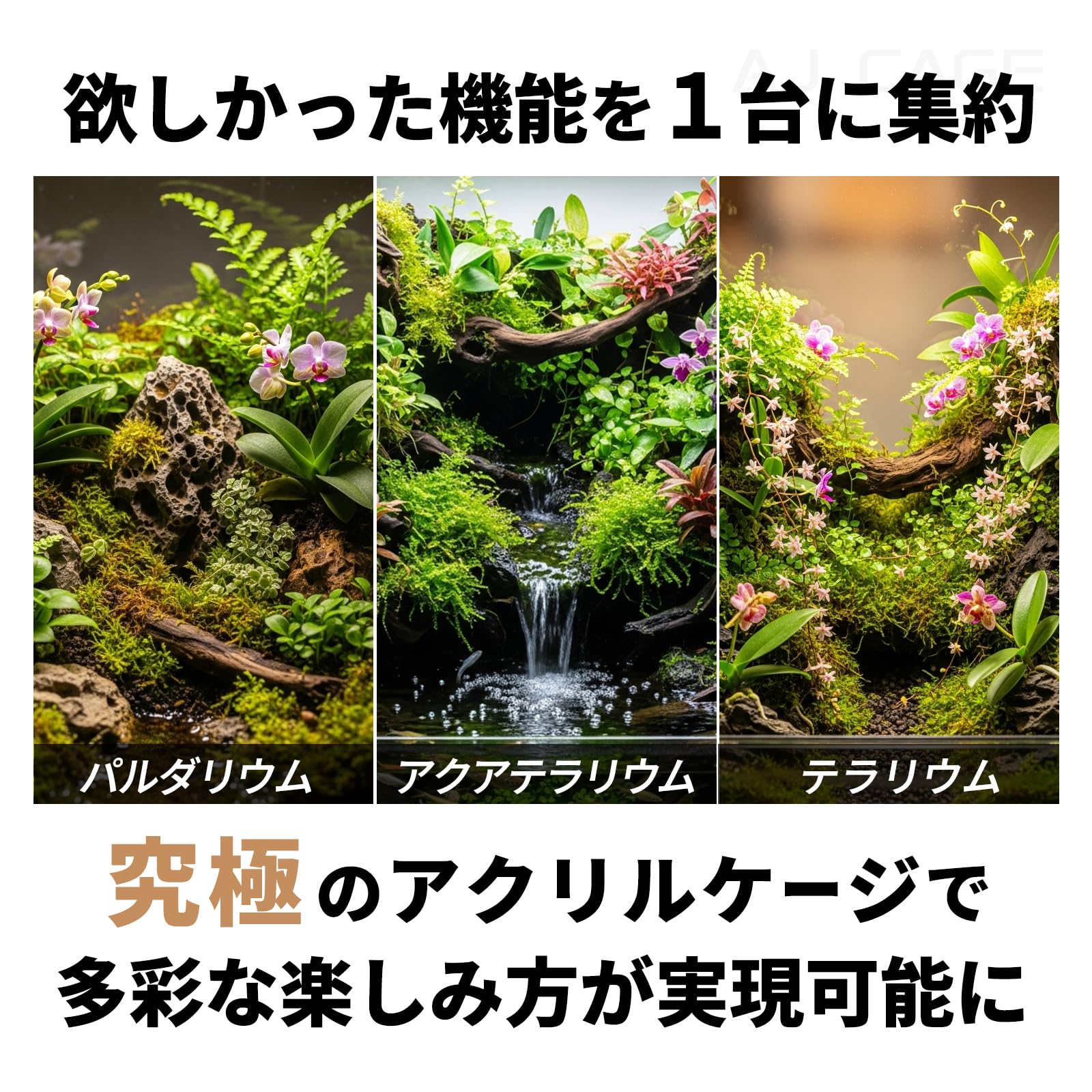 Amazon | アリオンジャパンG.K LX50 integral（インテグラ